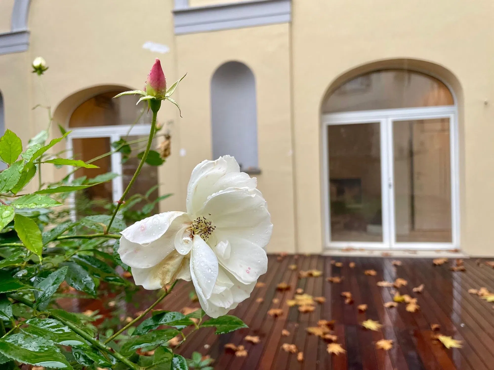 Appartamento in via della Chiesa, 1 - Photo 18
