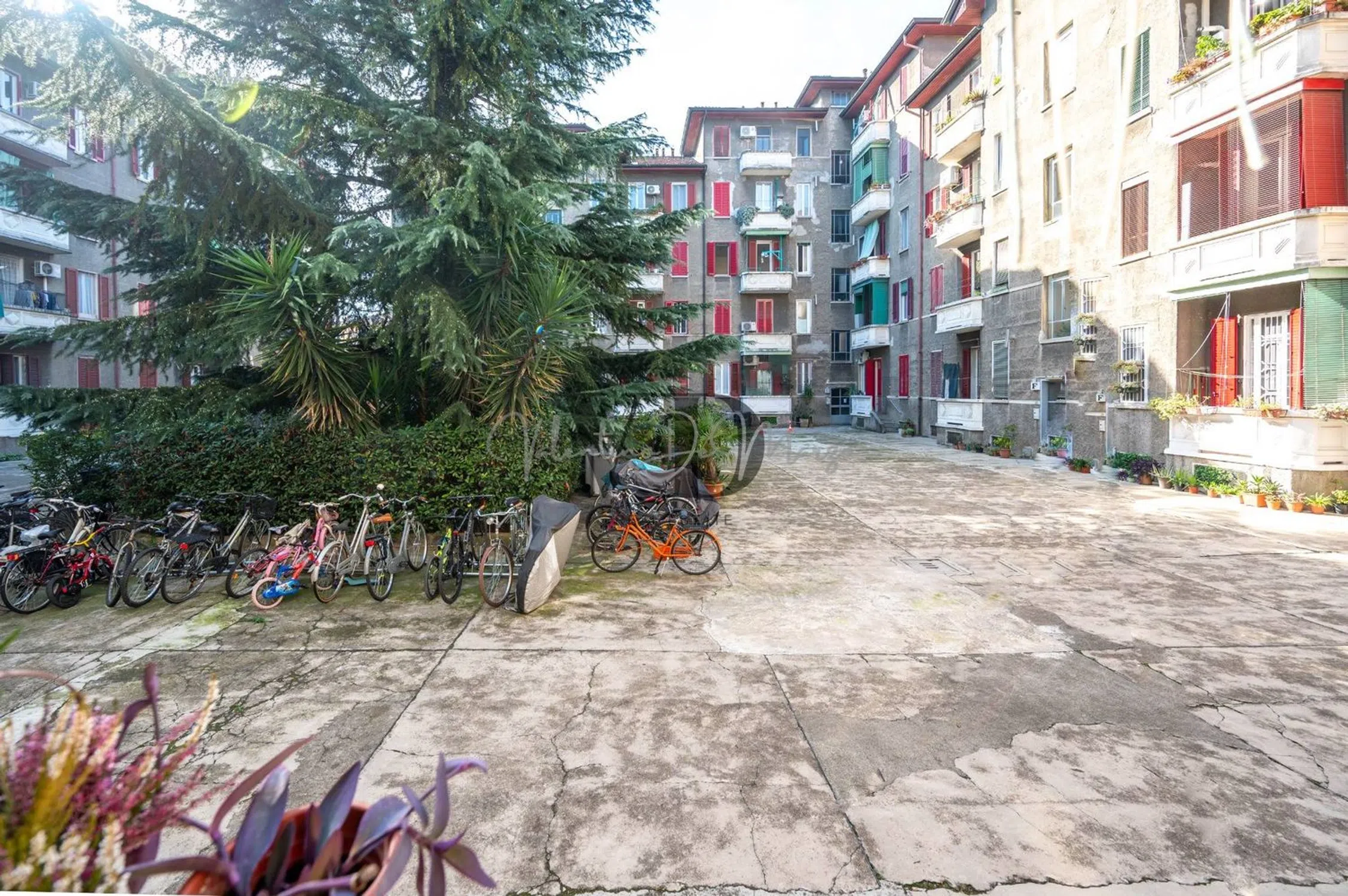 Trilocale in via Jacopino da Tradate, 8 - Photo 3