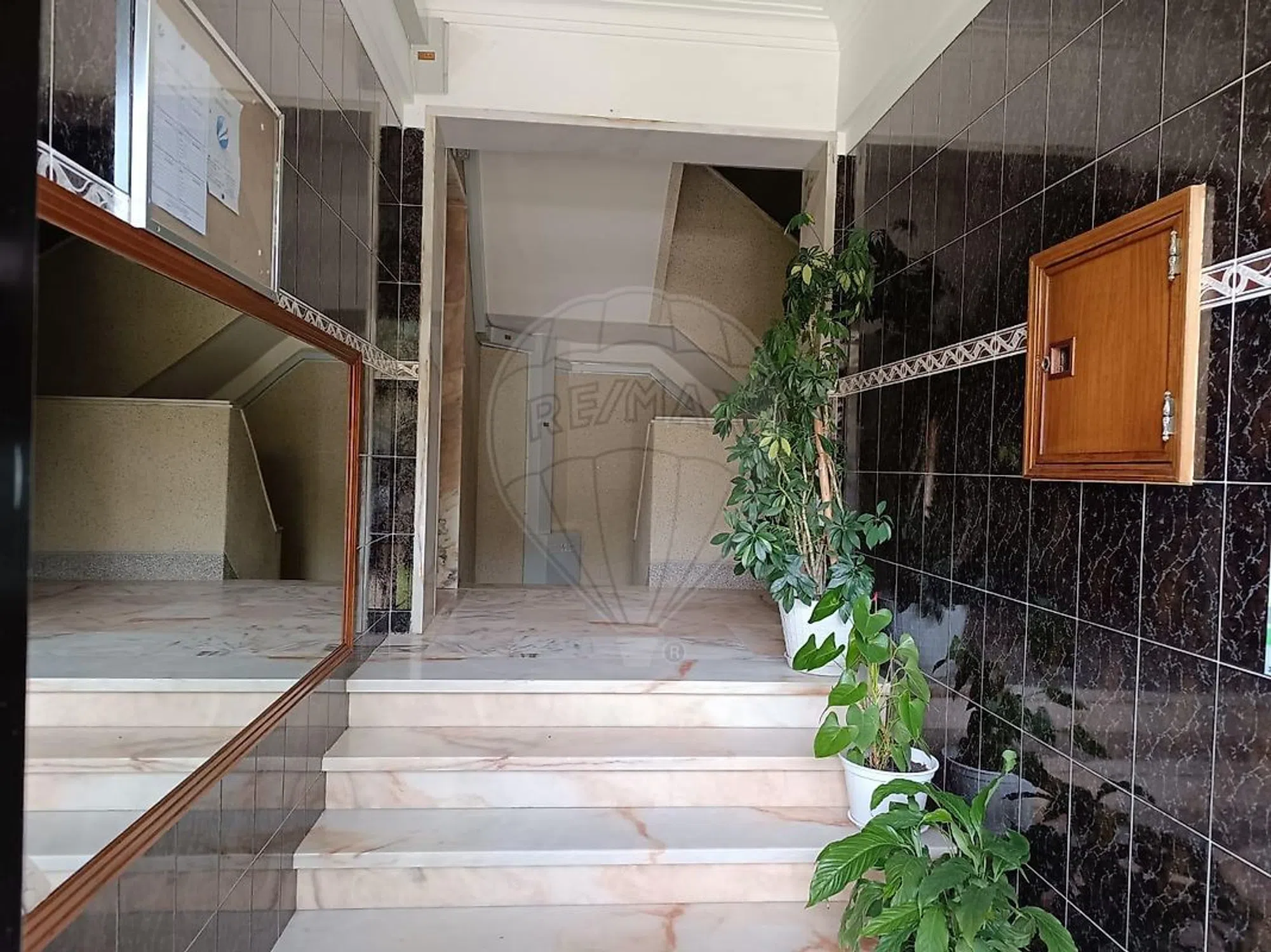 Apartamento na rua Ramalho Ortigão - Photo 8