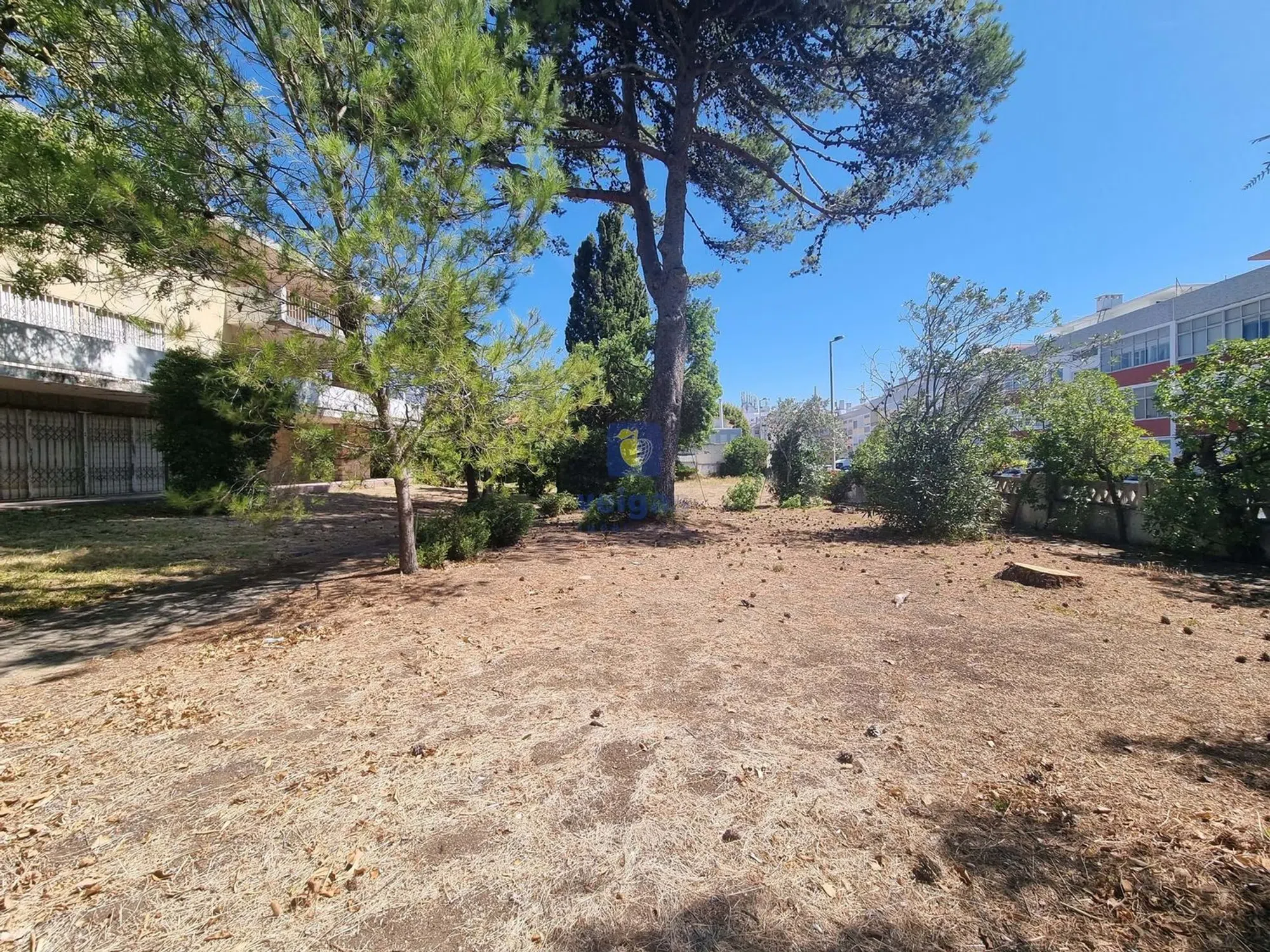 Moradia - Photo 5