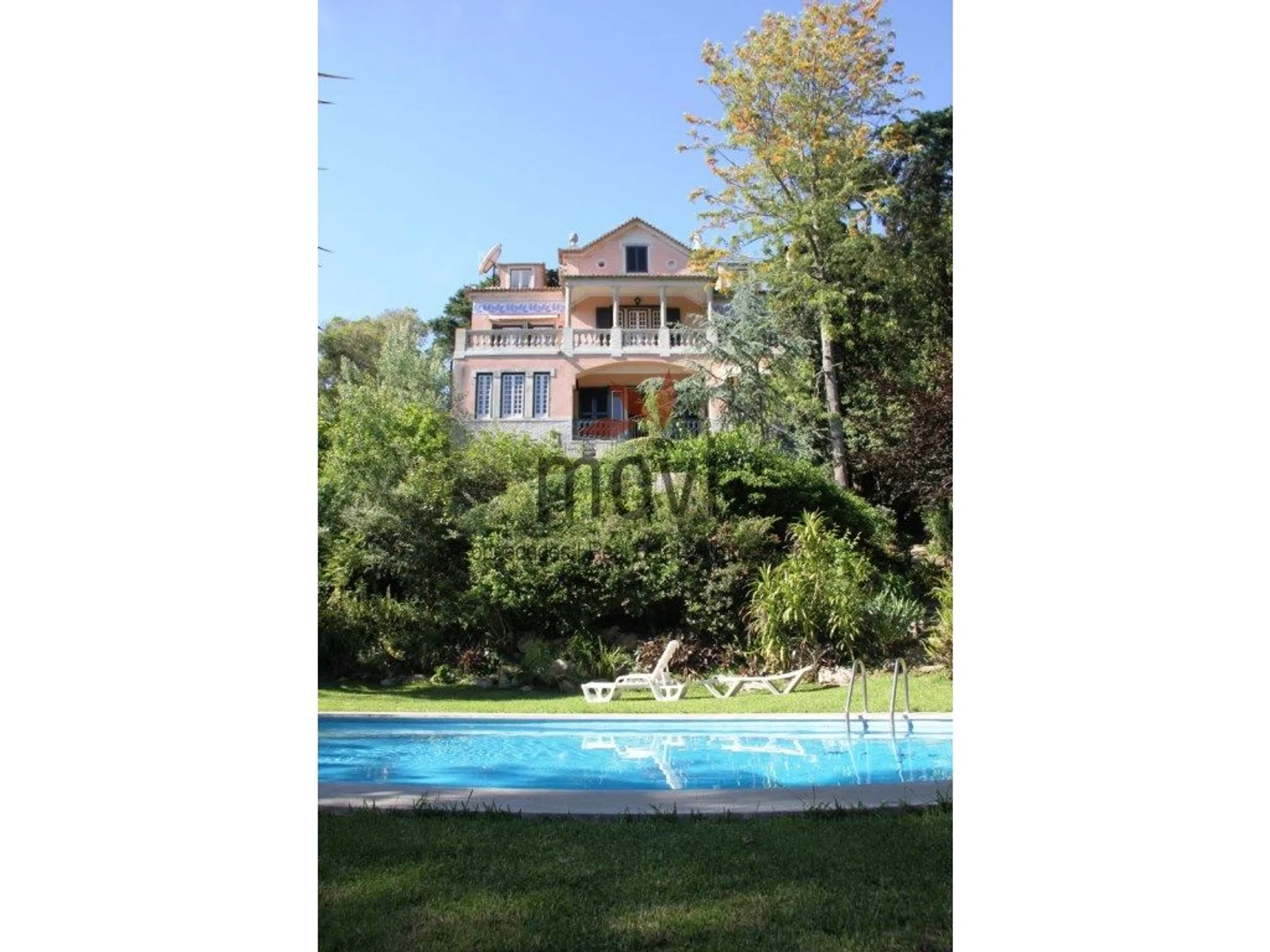 Quinta - Photo 2