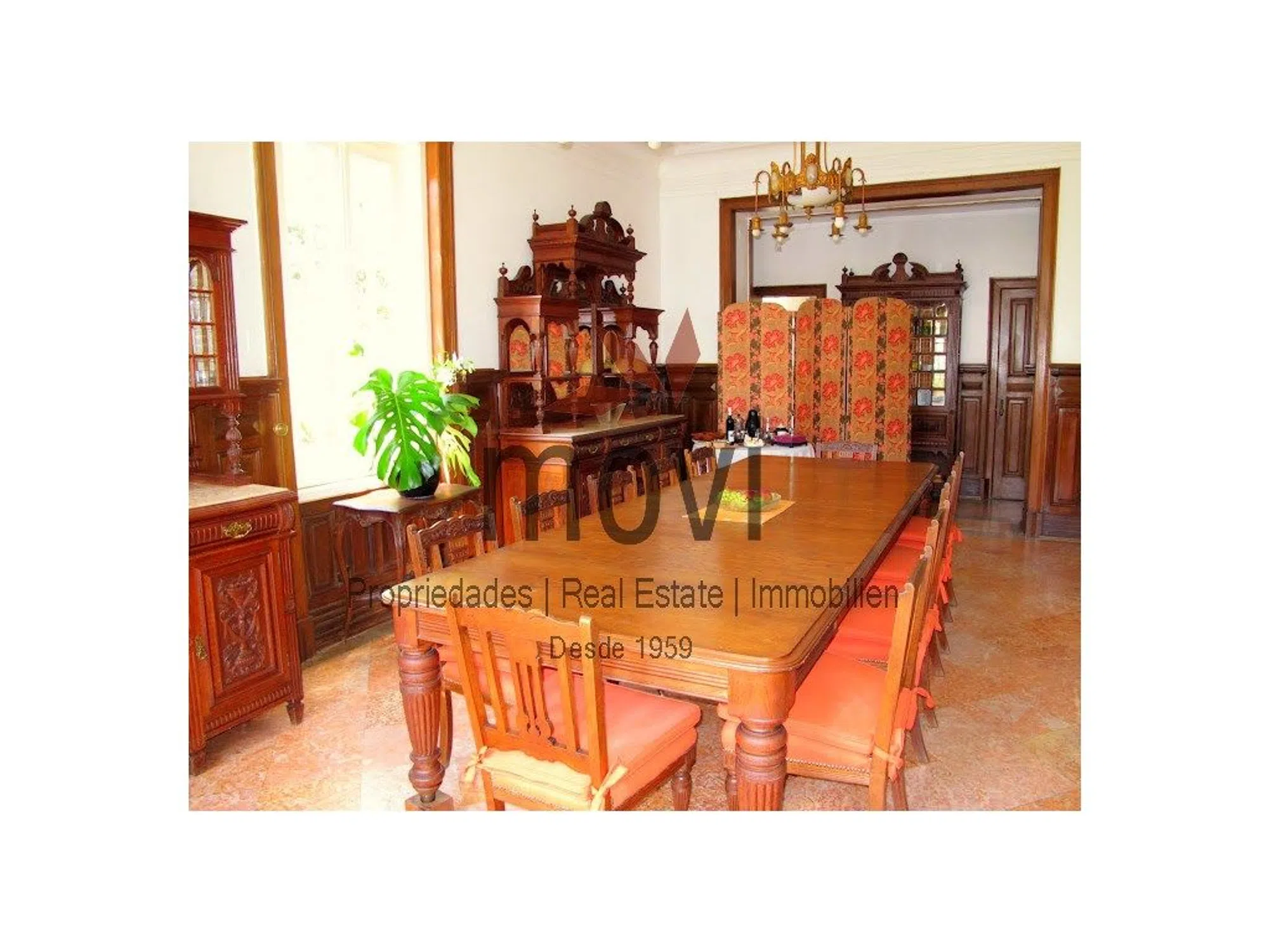 Quinta - Photo 15