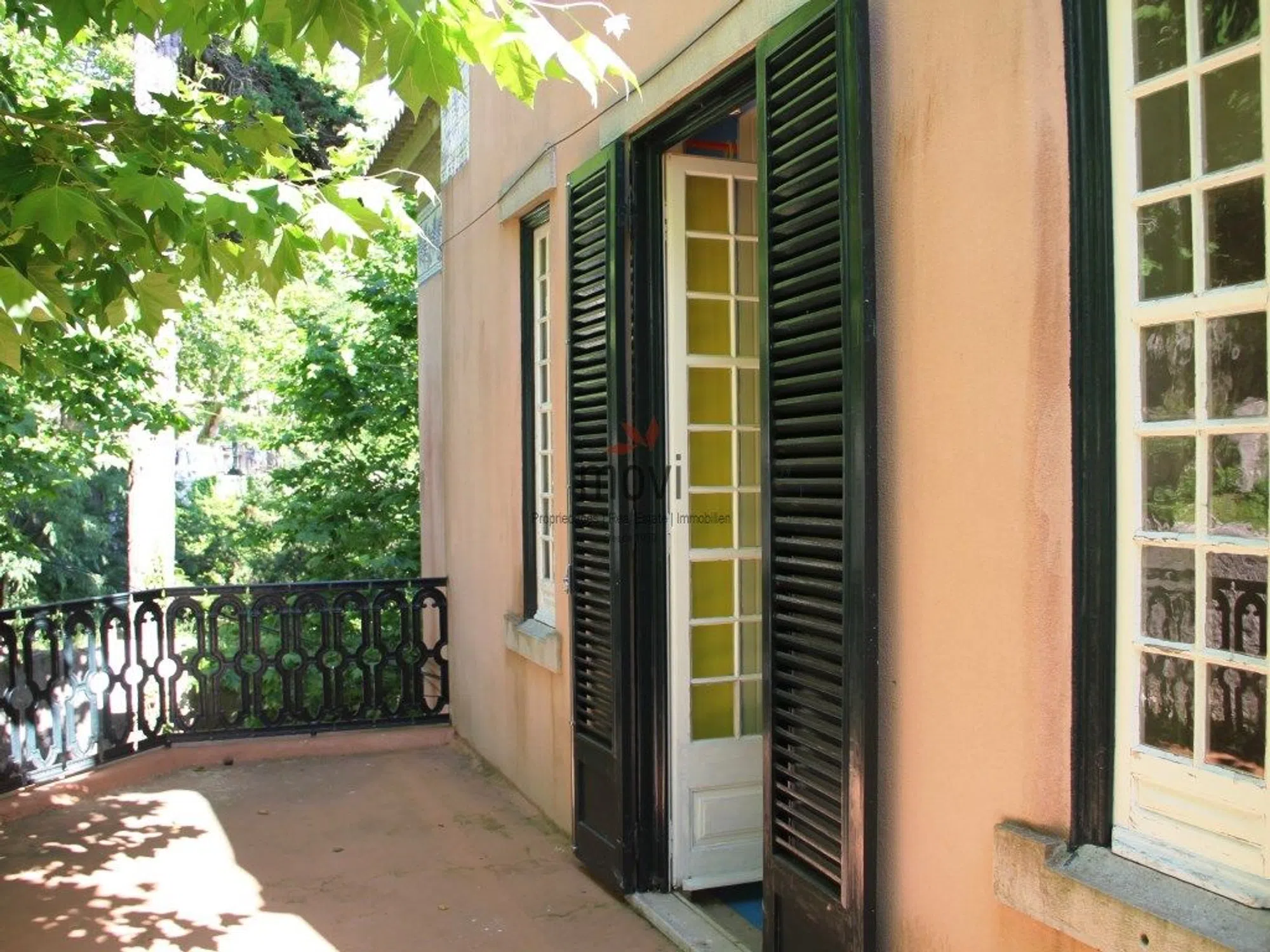 Quinta - Photo 20