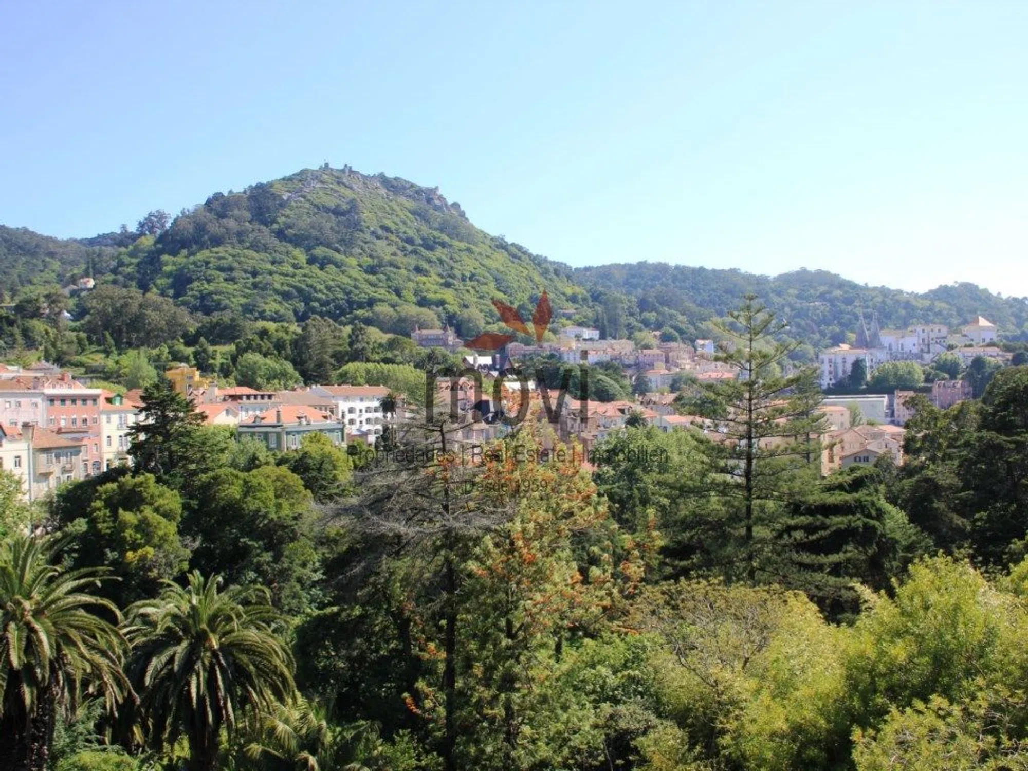 Quinta - Photo 4