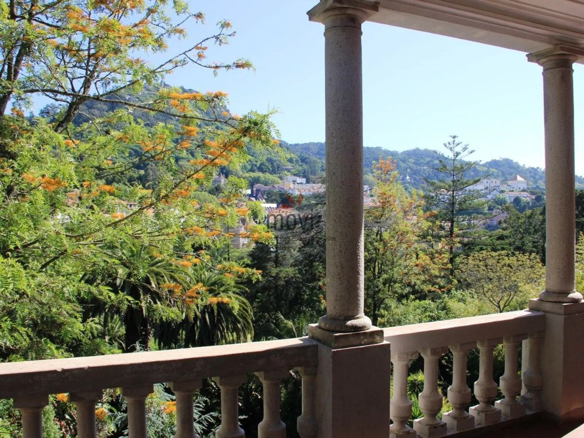 Quinta - Photo 6