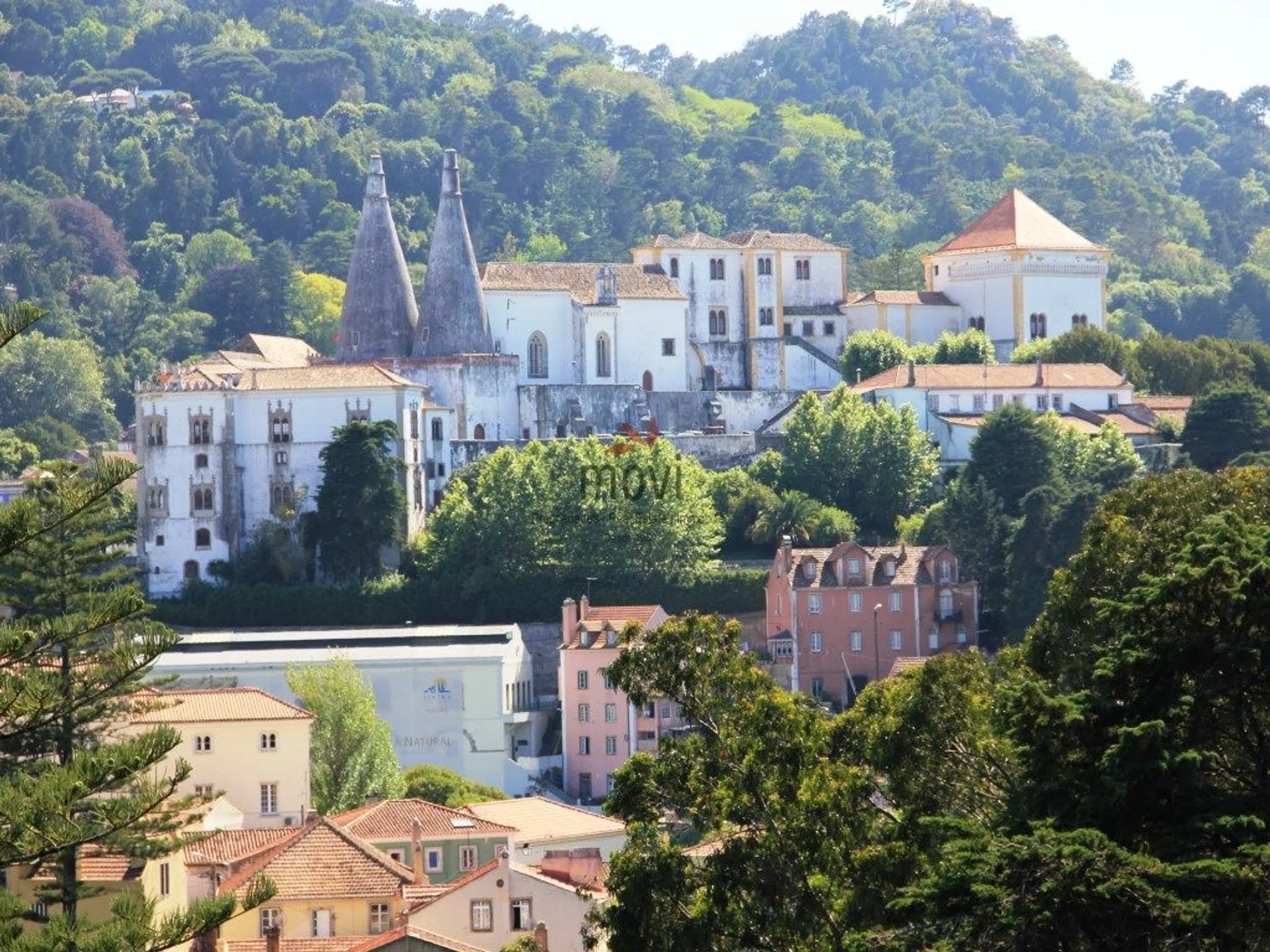 Quinta - Photo 8