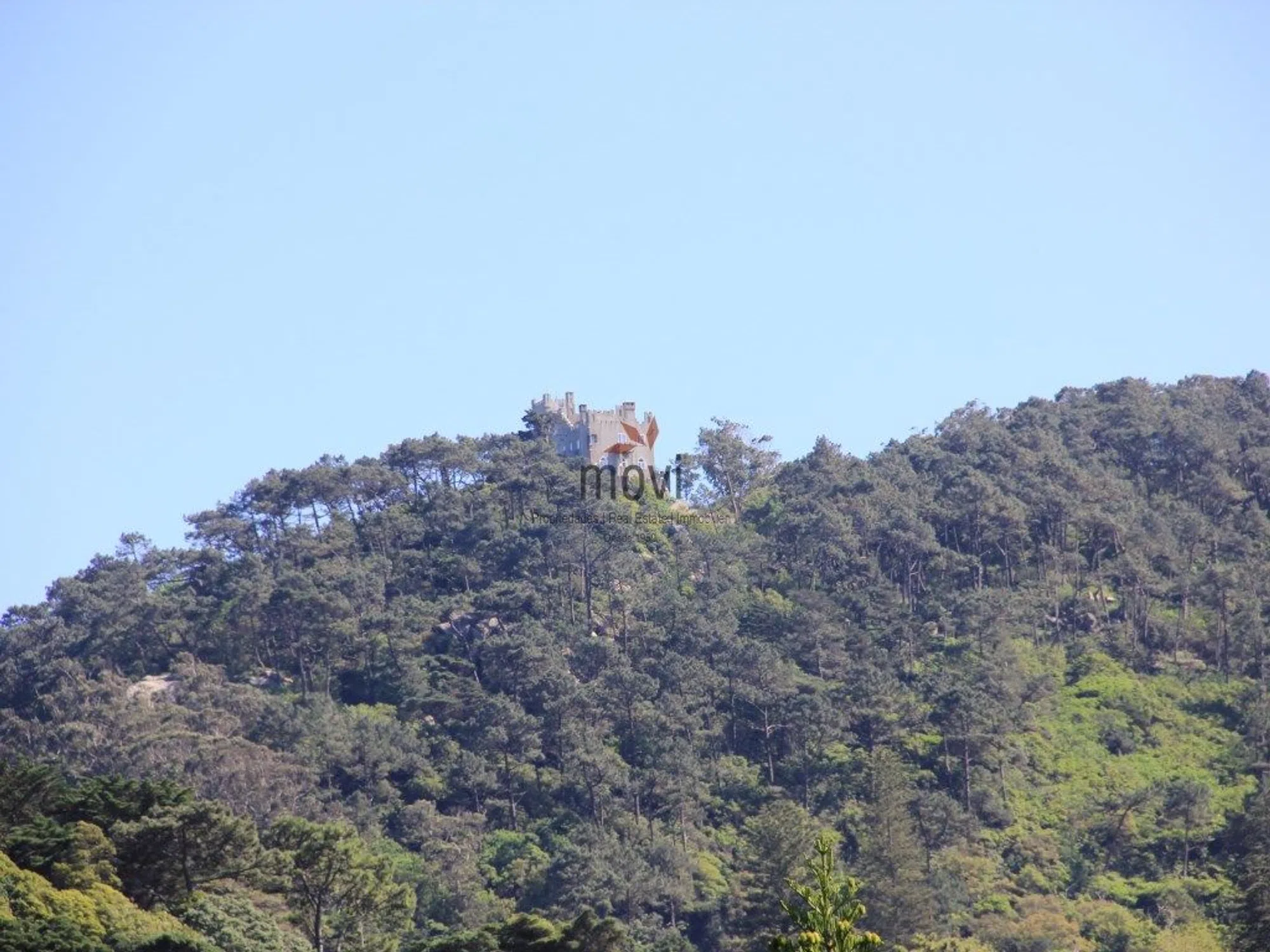 Quinta - Photo 9