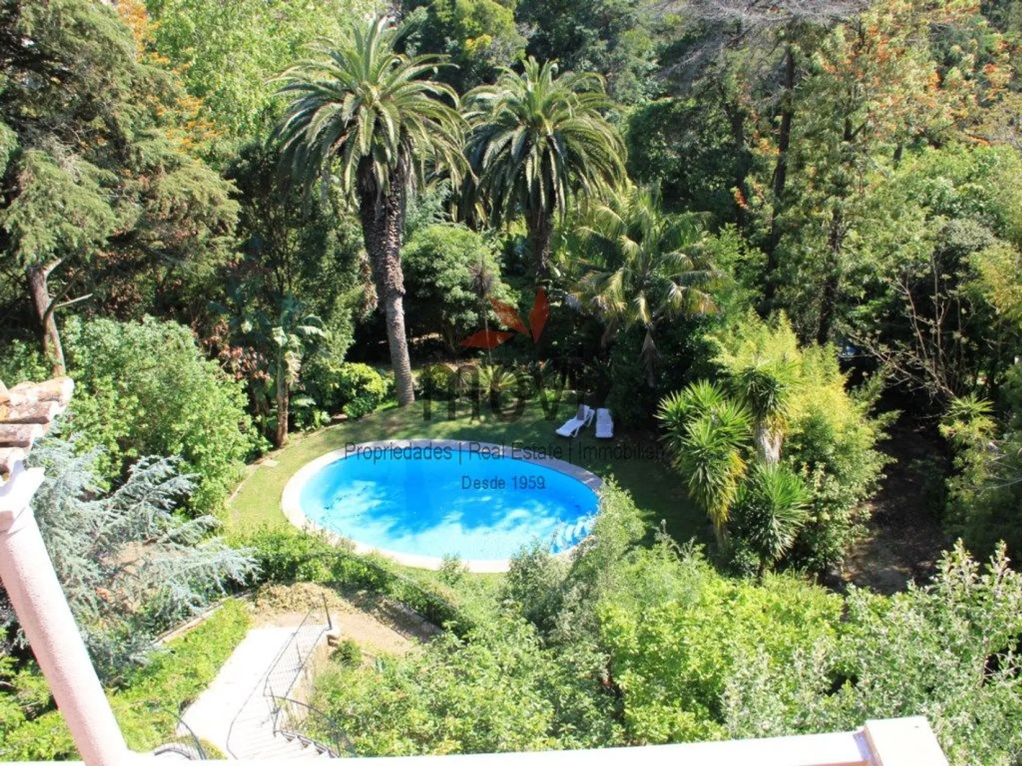 Quinta - Photo 10