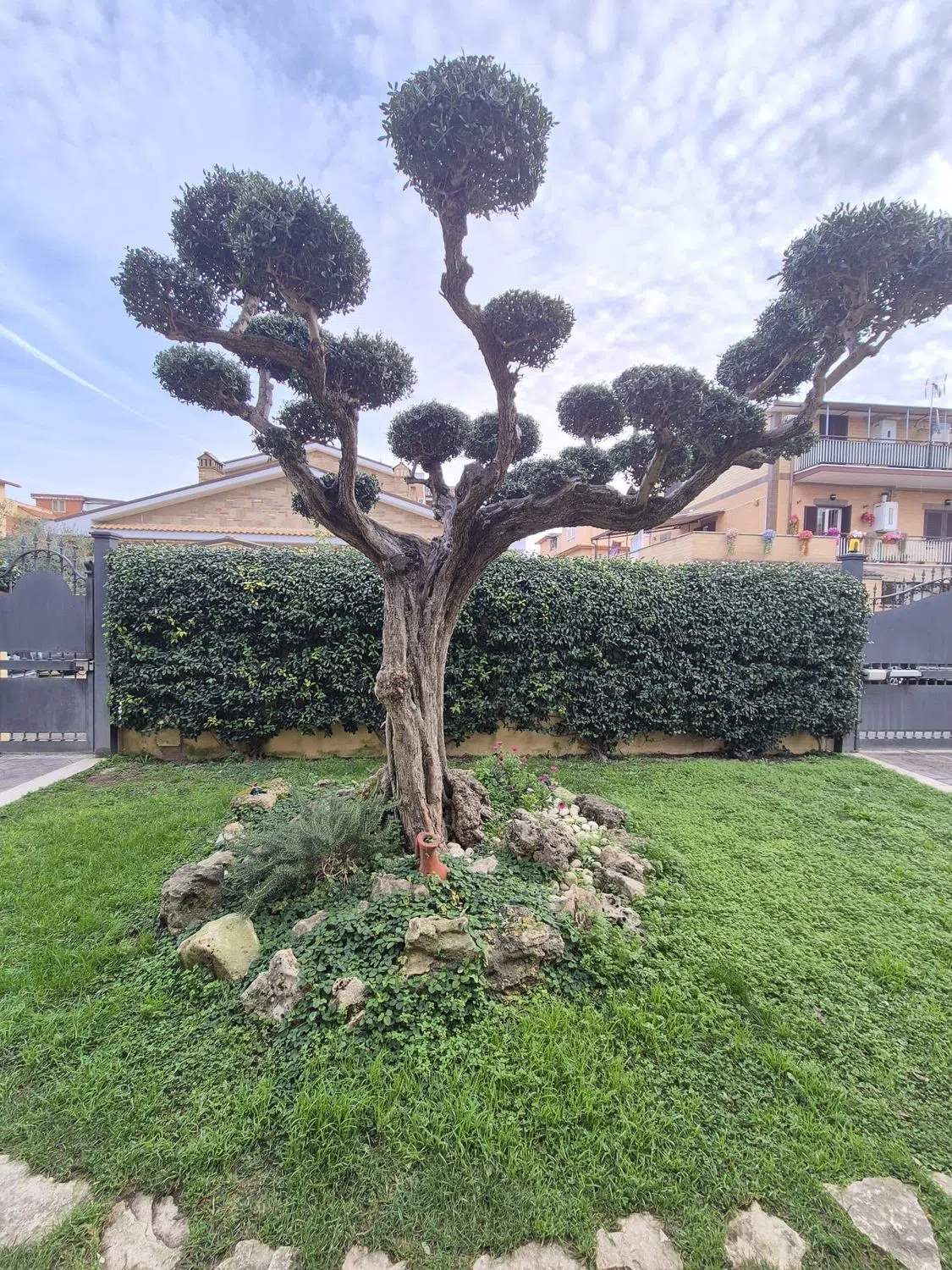 Villetta bifamiliare in via Lazzaro Cattaneo s.n.c. - Photo 3