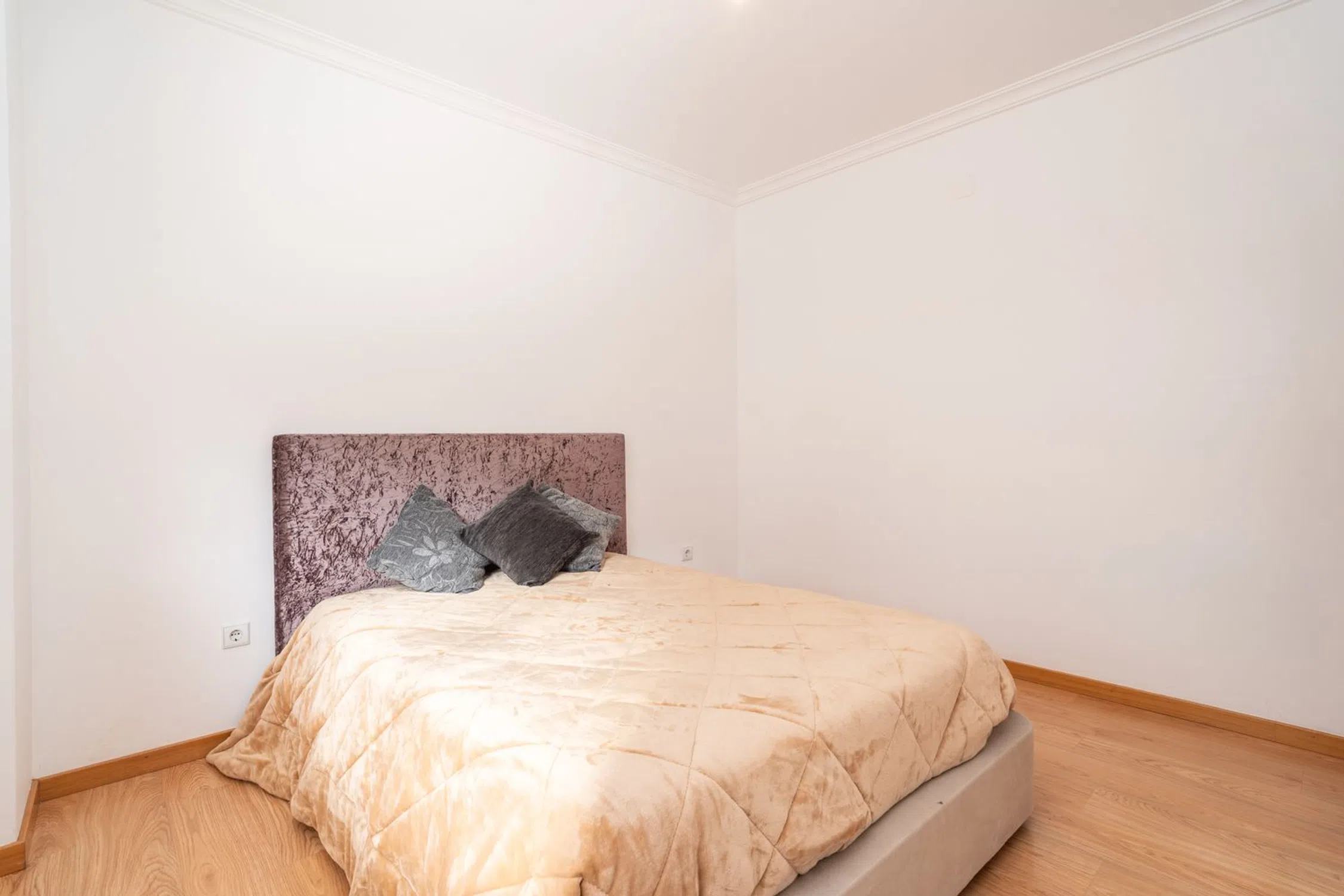 Apartamento na rua Doutor Carlos Melo Freitas - Photo 15