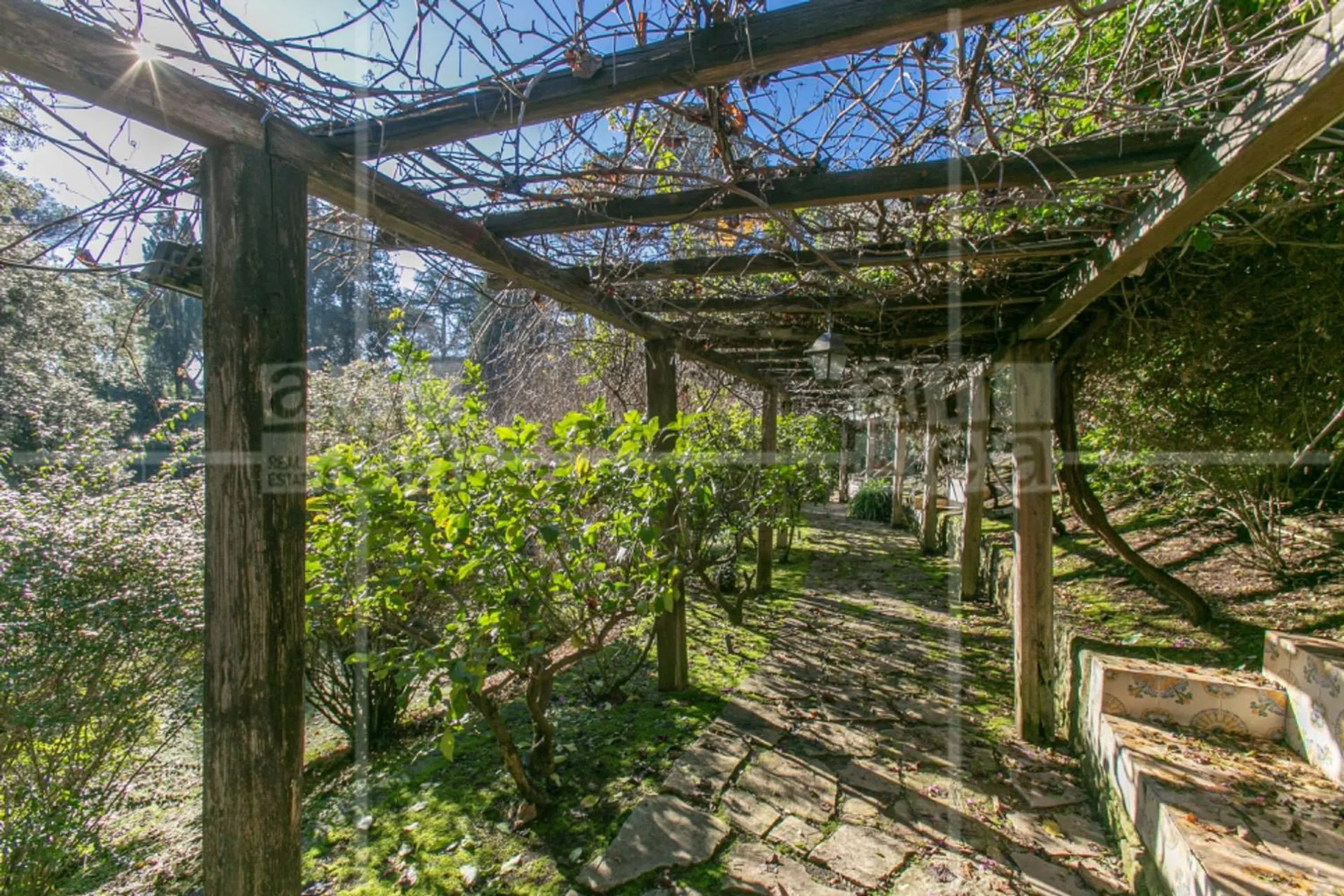 Villa in via Appia Antica - Photo 9