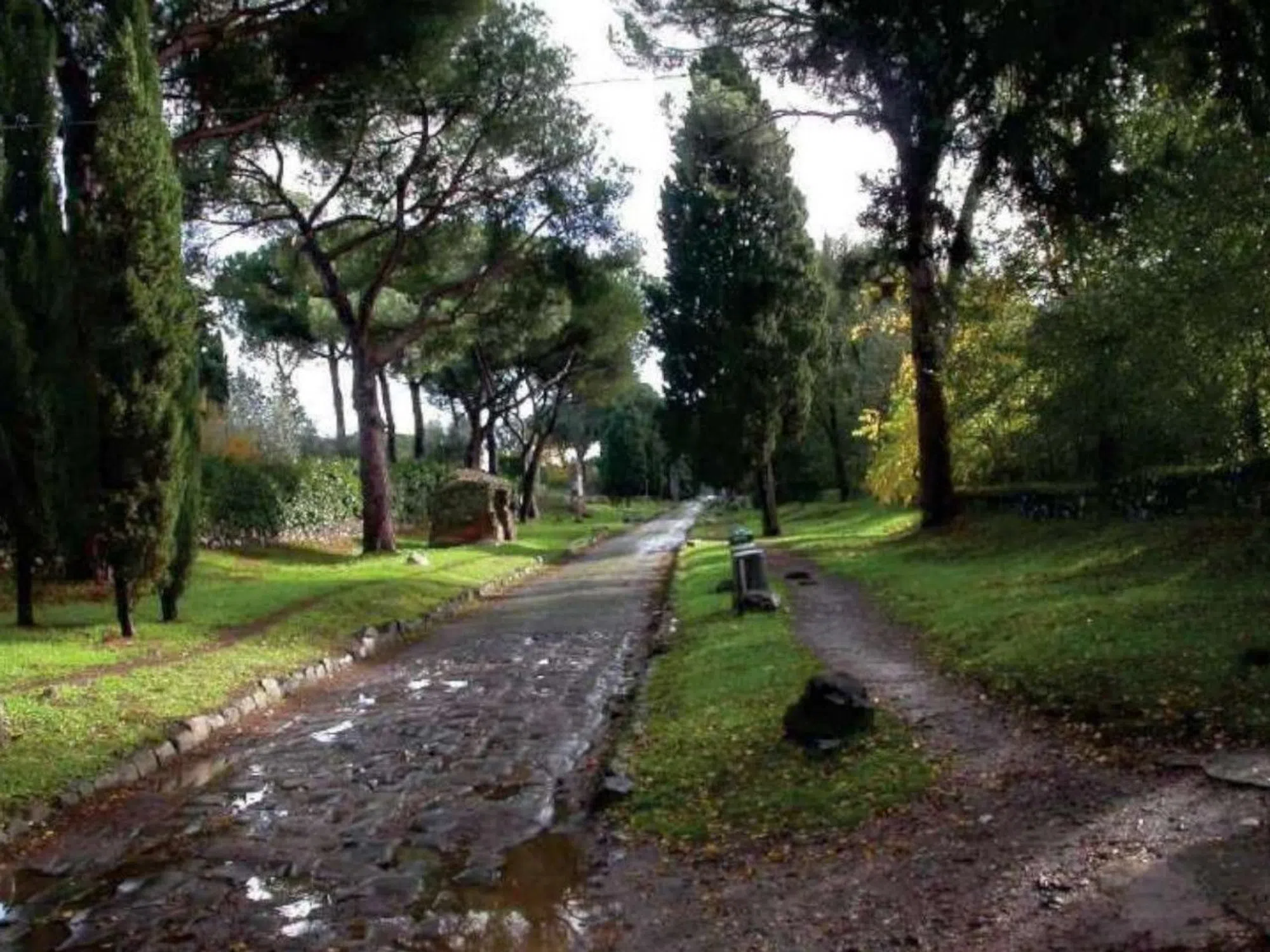 Villa in vicolo di Tor Carbone, 141 - Photo 7