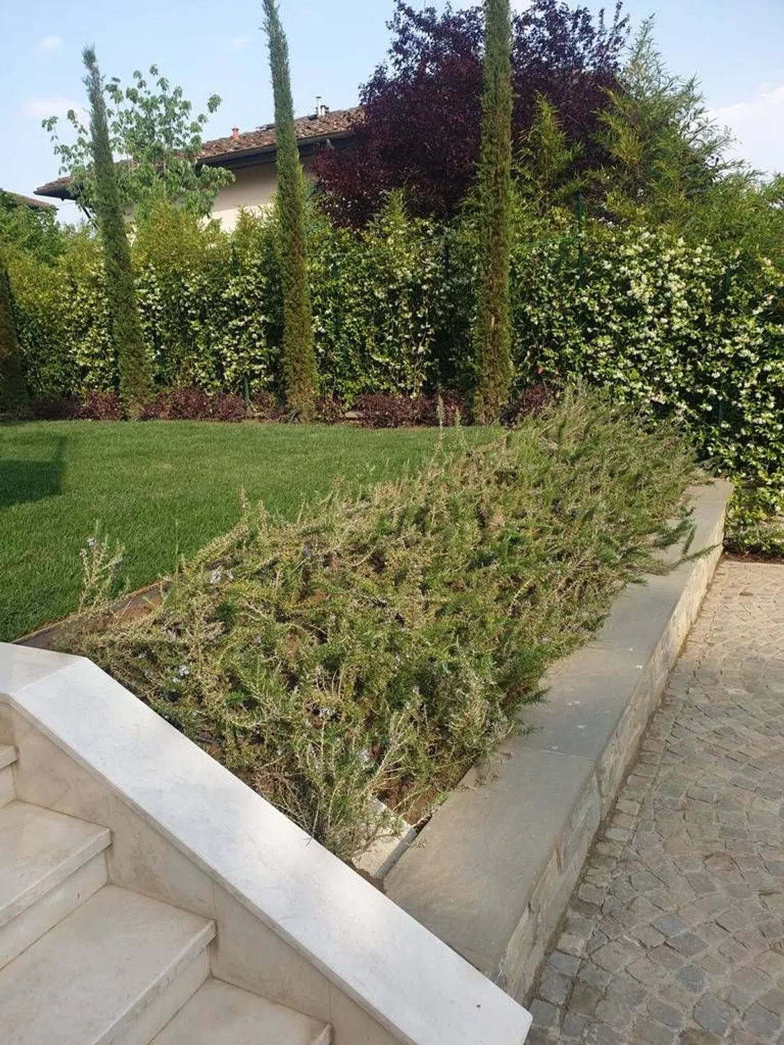 Villa in viale del Poggio Imperiale s.n.c. - Photo 12