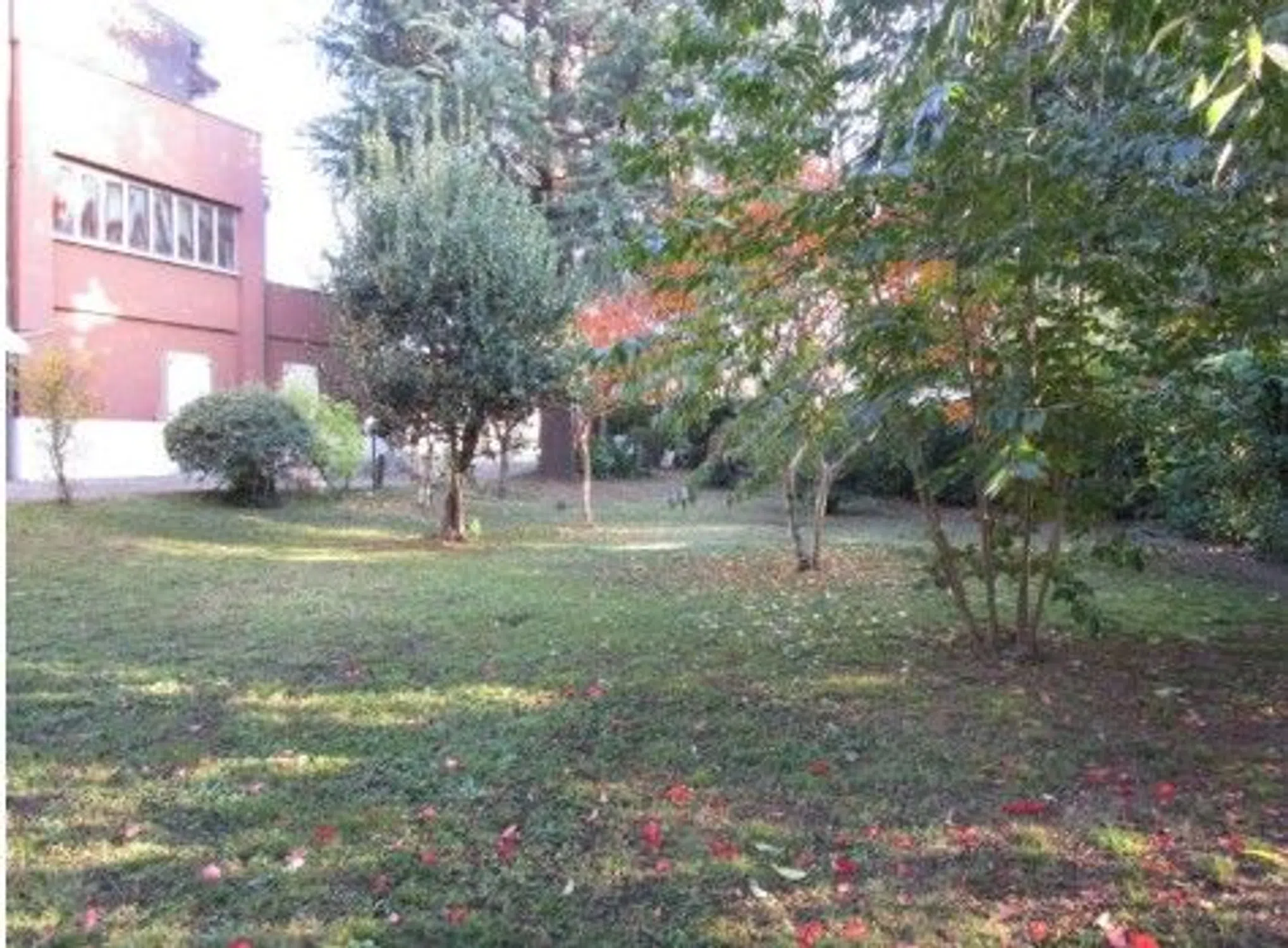 Trilocale in via Frosinone, 16 - Photo 2