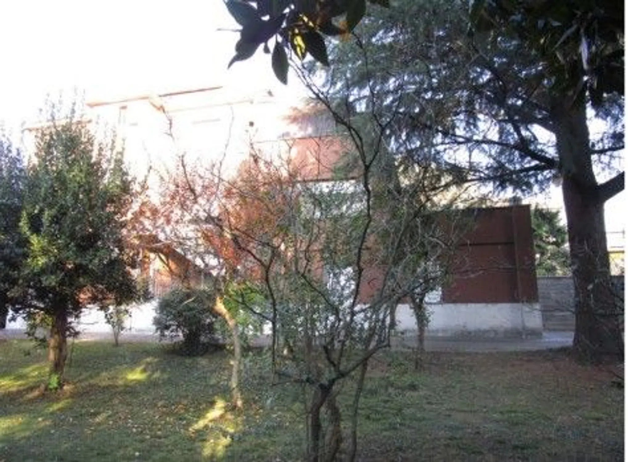 Trilocale in via Frosinone, 16 - Photo 3