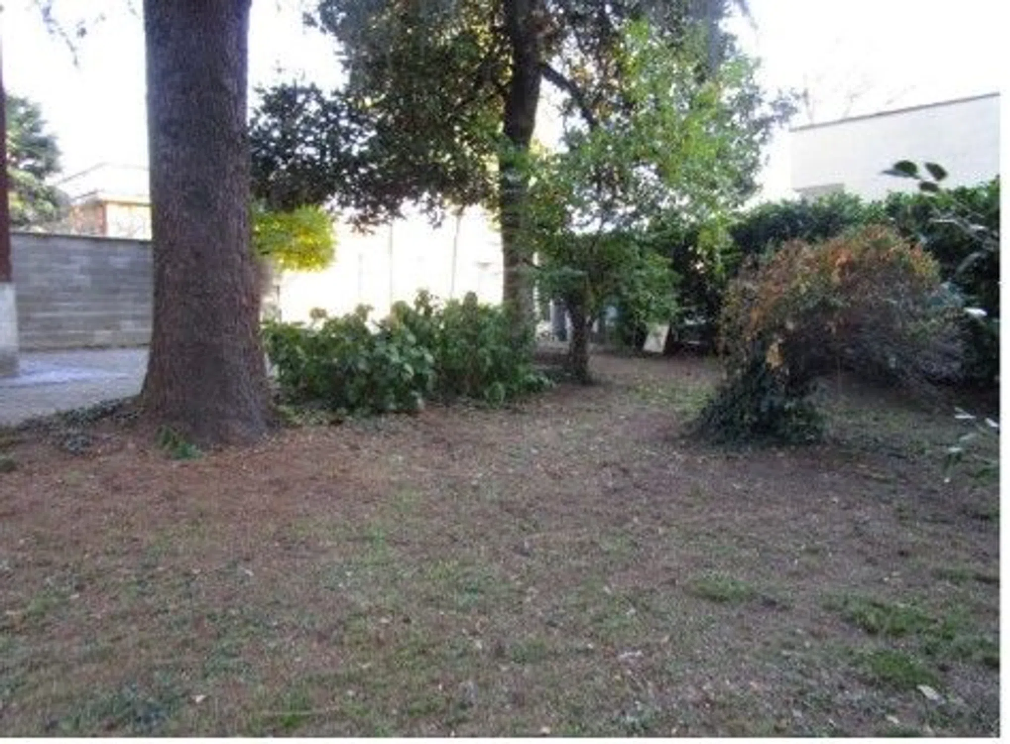 Trilocale in via Frosinone, 16 - Photo 4