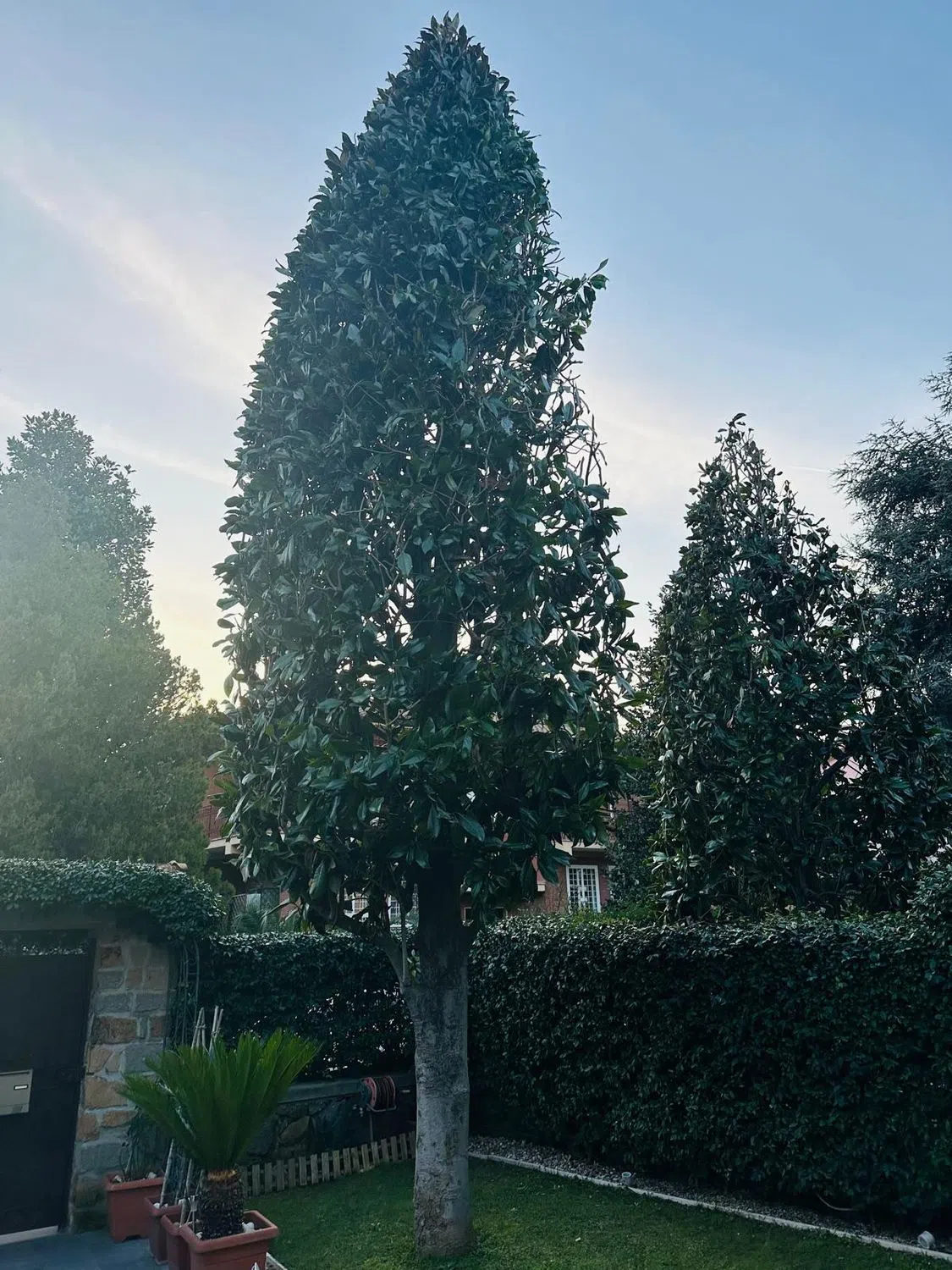 Villa in via Crasso, 15 - Photo 10