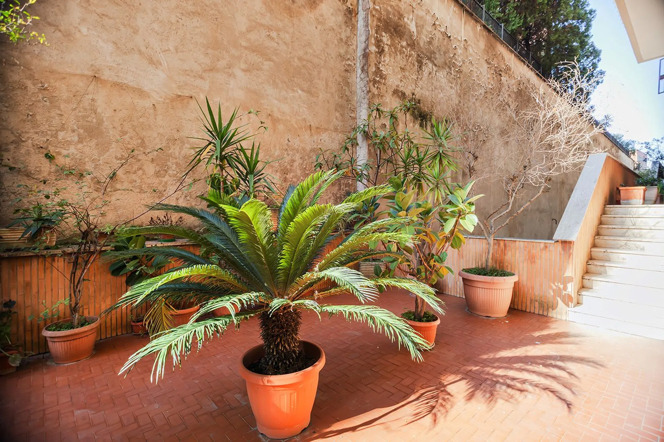 Bilocale in via Sante Bargellini, 41 - Photo 4