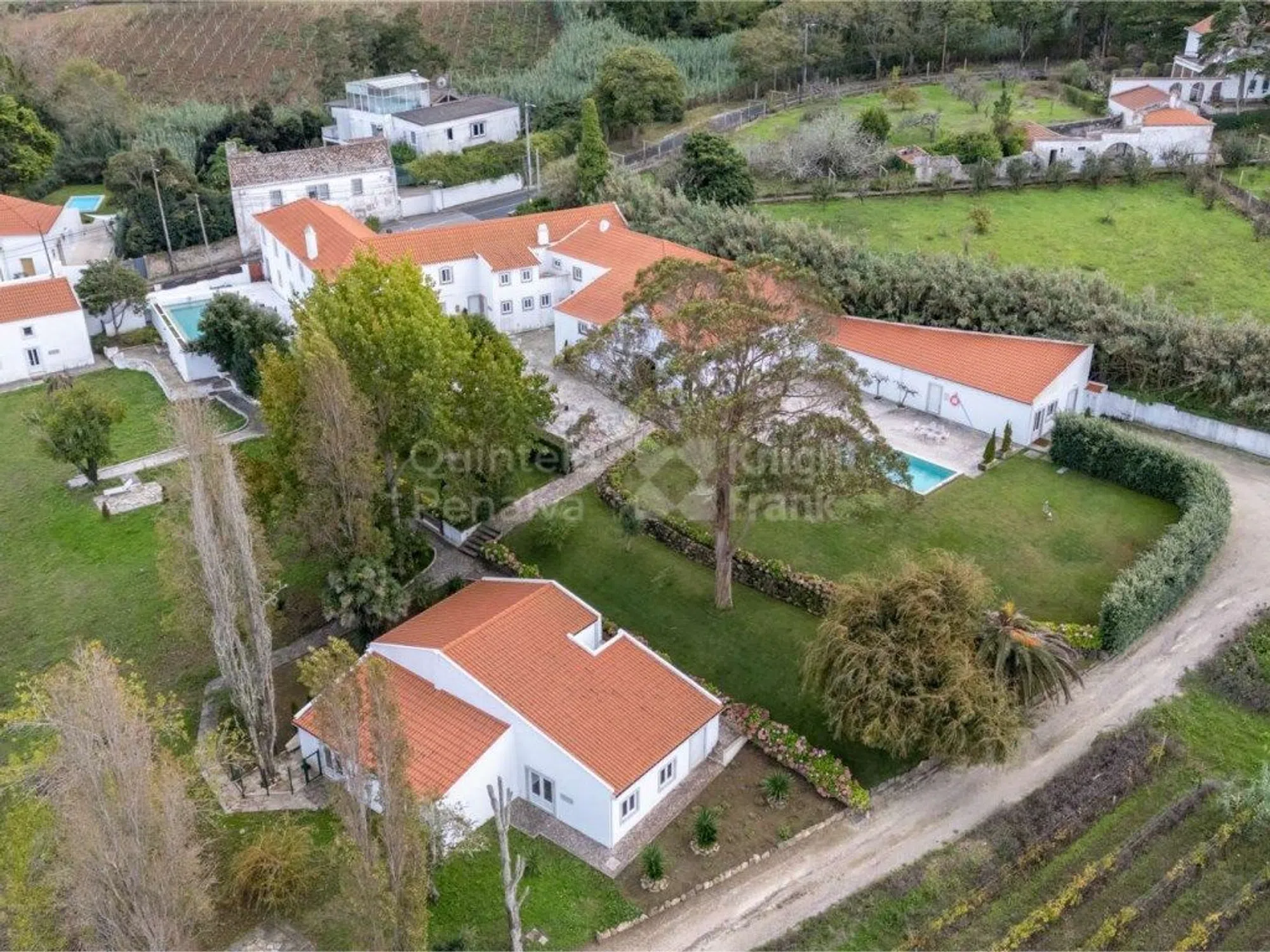 Quinta - Photo 2
