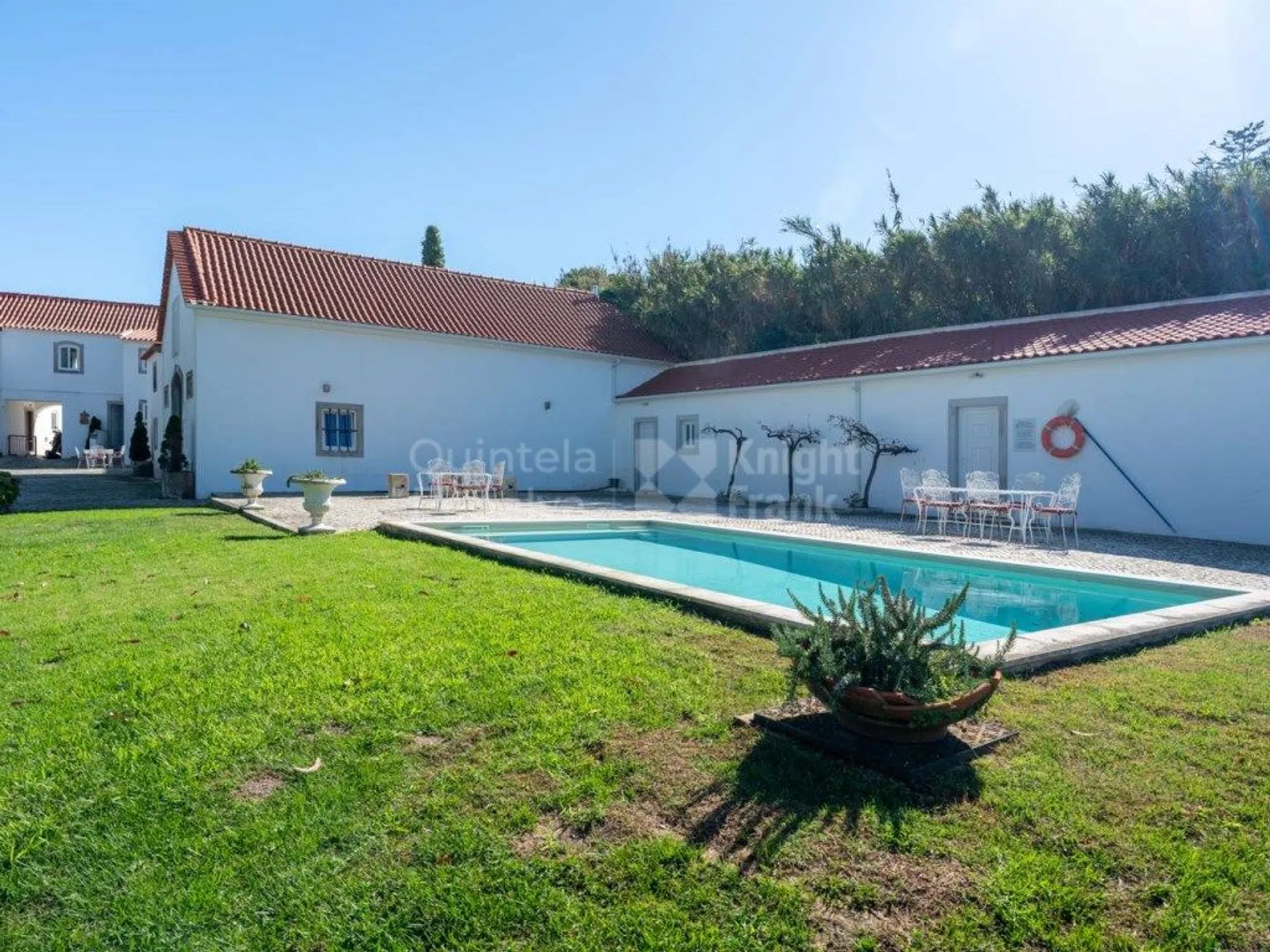 Quinta - Photo 3
