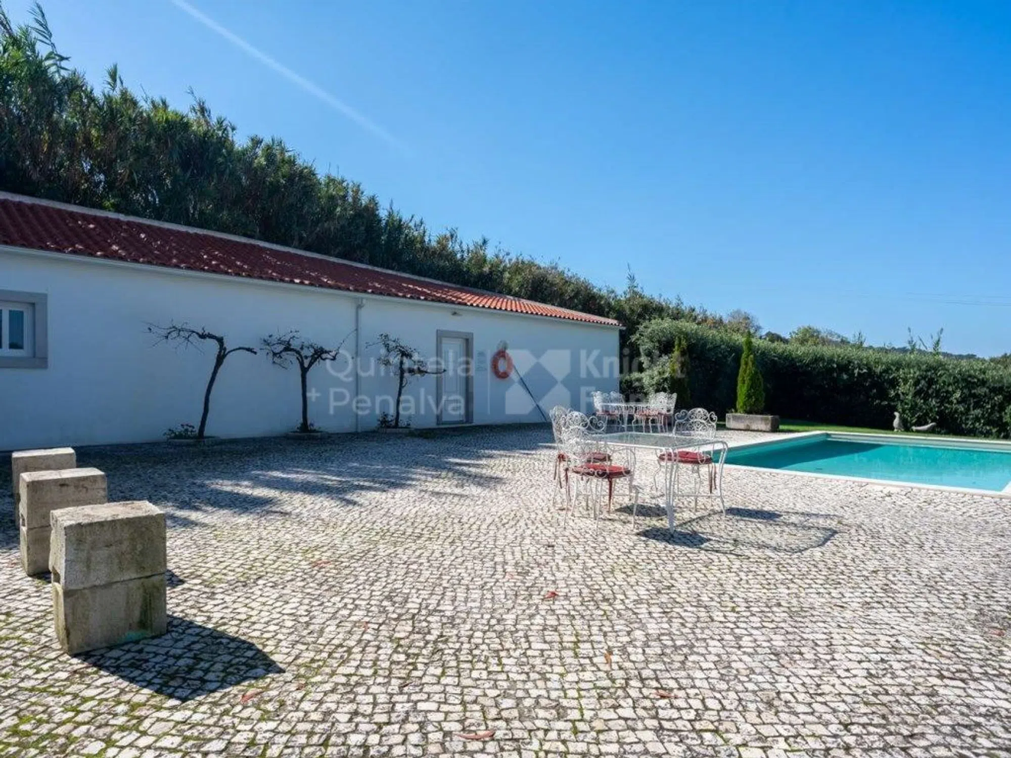 Quinta - Photo 4