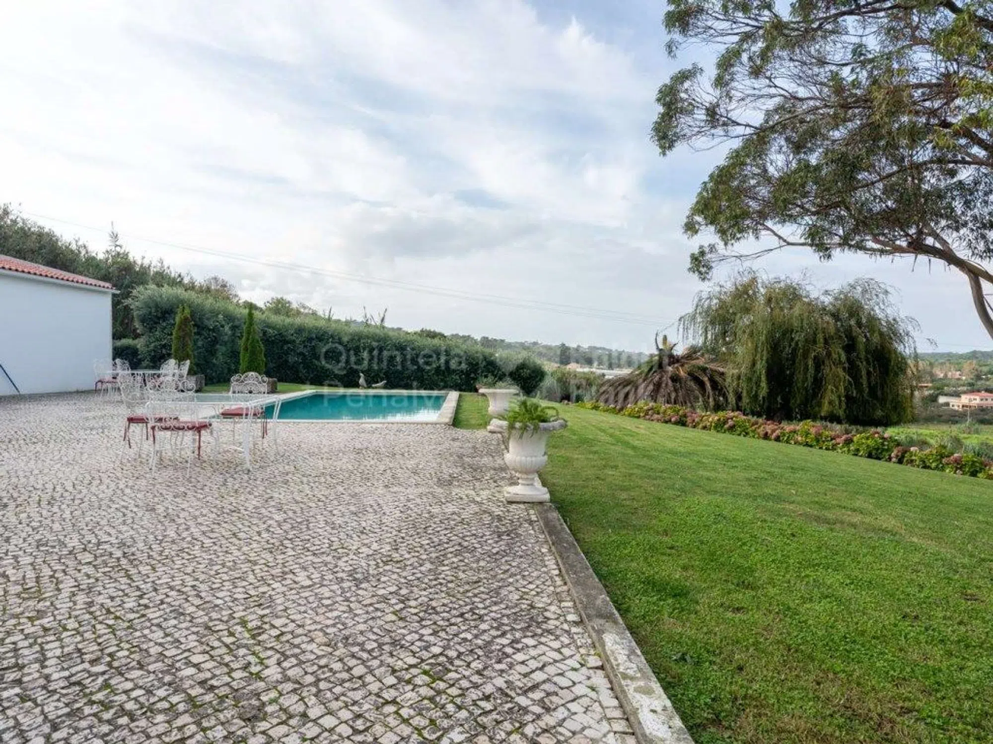 Quinta - Photo 5