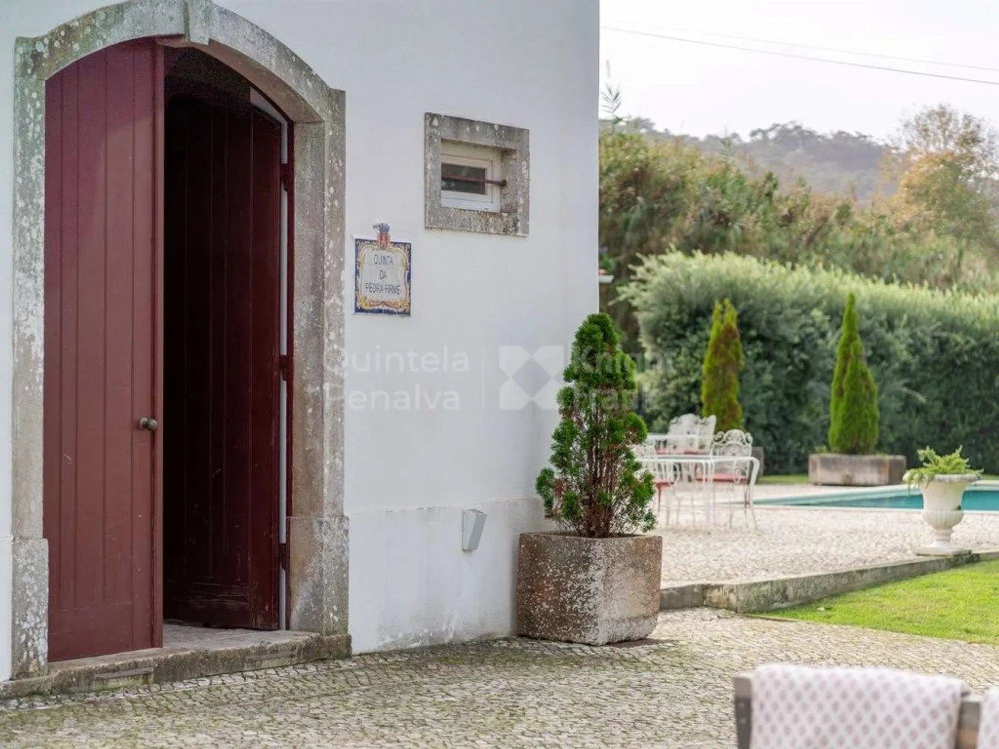 Quinta - Photo 7