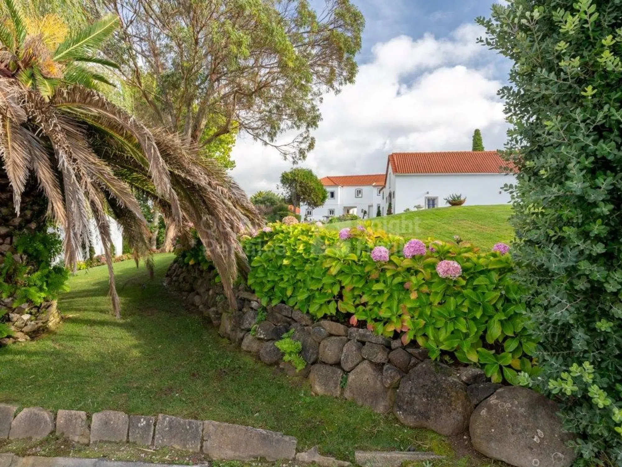 Quinta - Photo 8