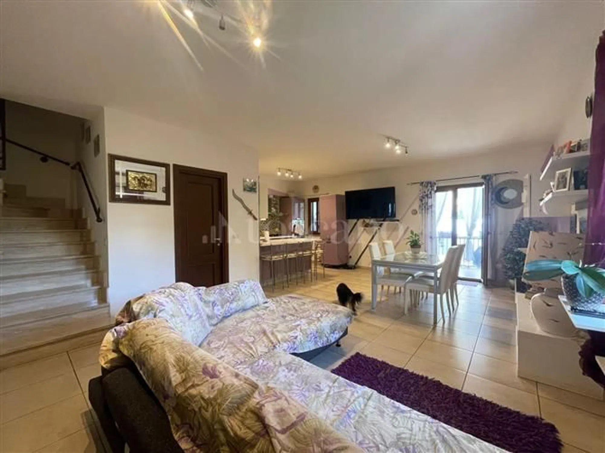Villa in via Pietro Benedetti - Photo 2