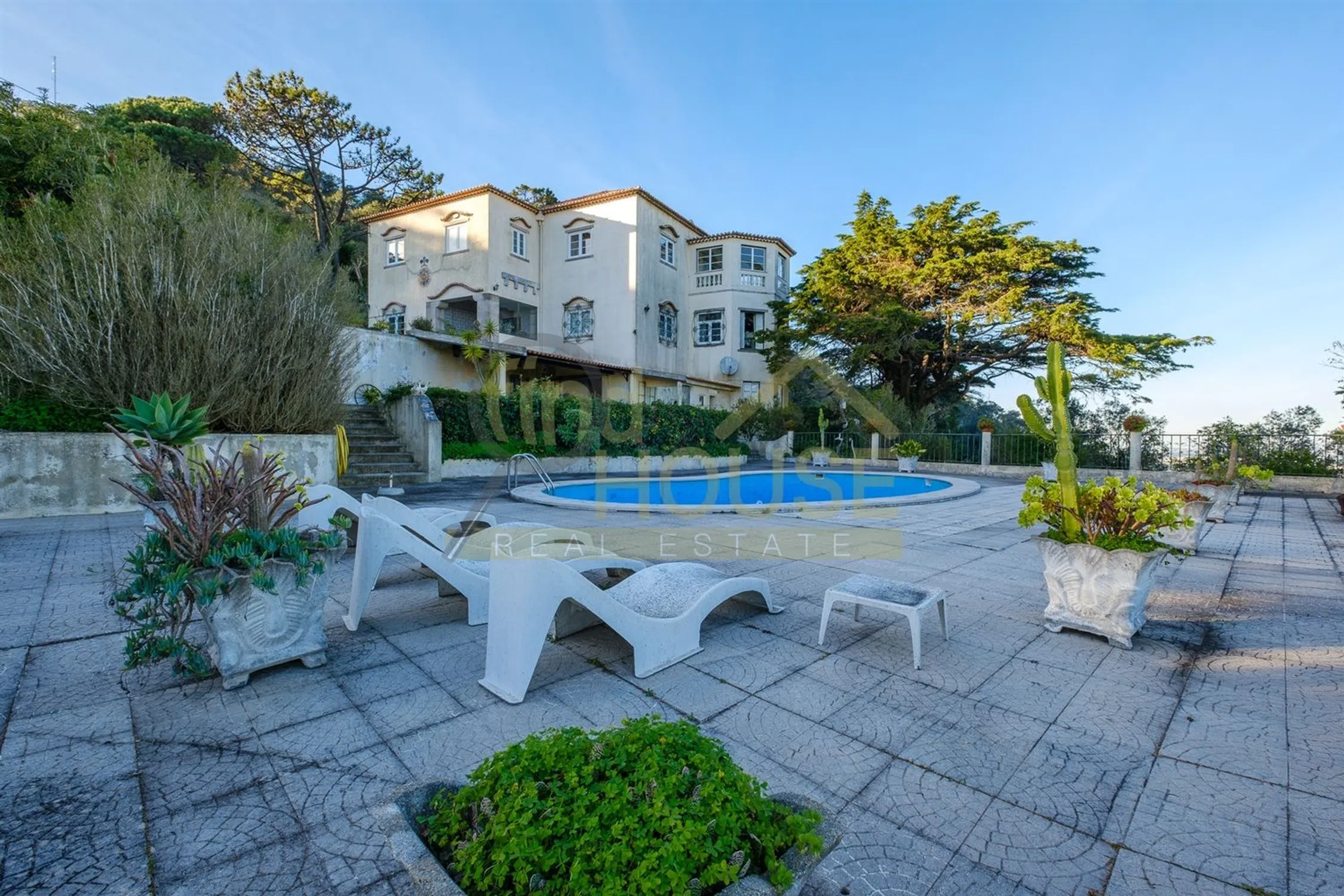 Quinta - Photo 1