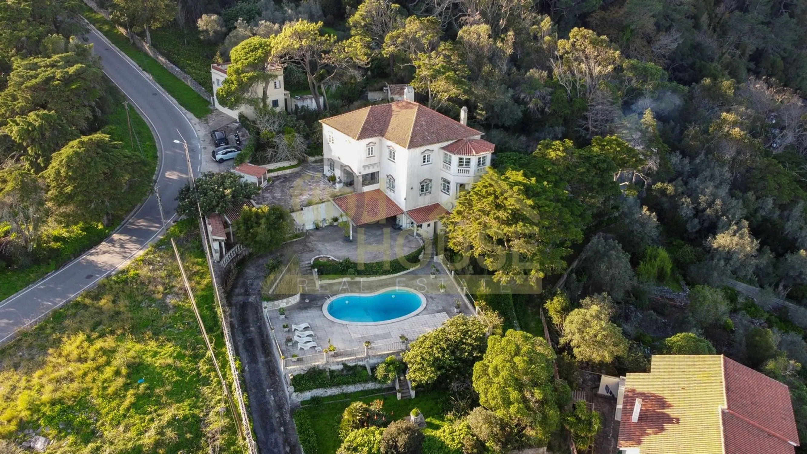 Quinta - Photo 2