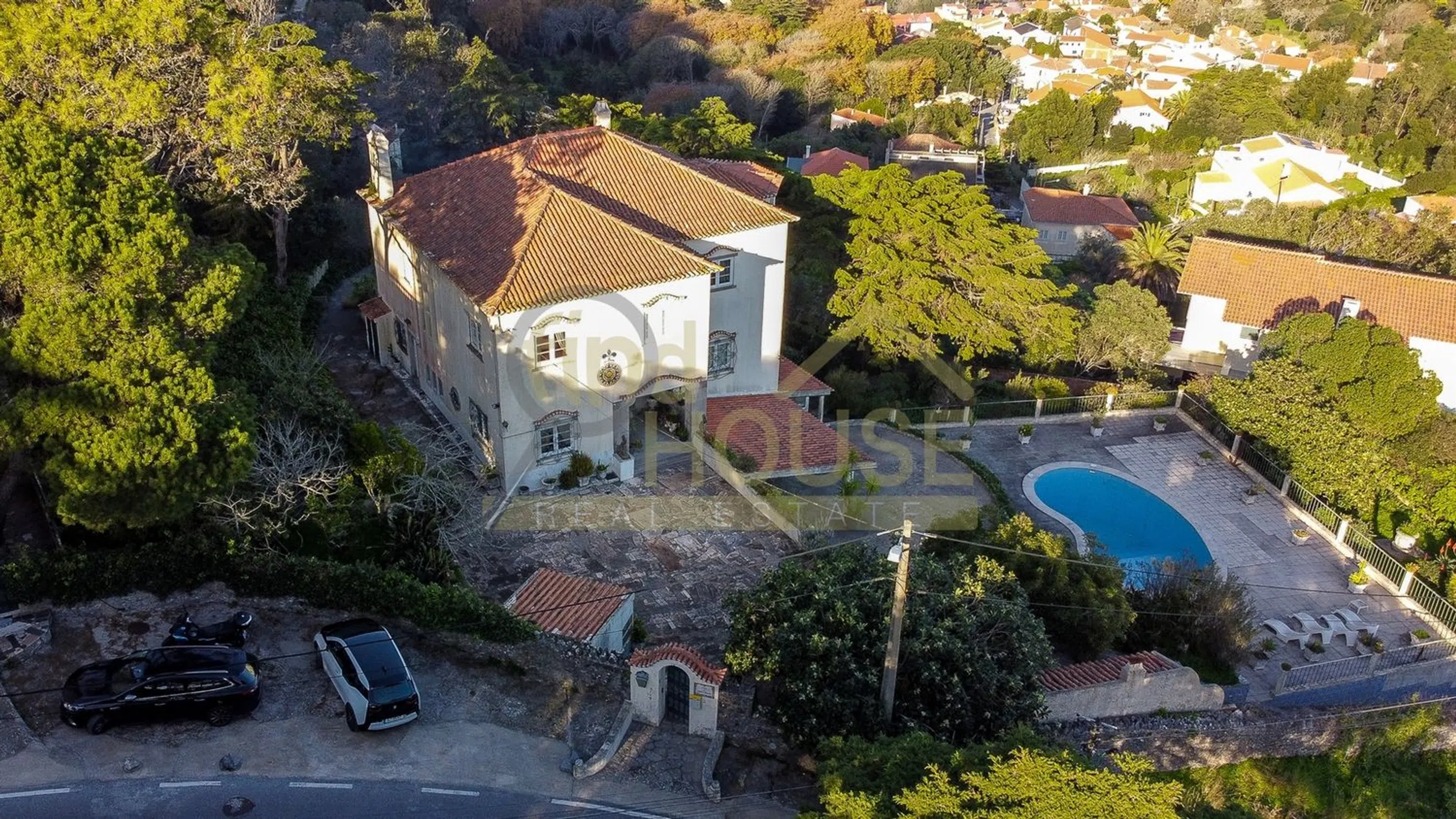 Quinta - Photo 3
