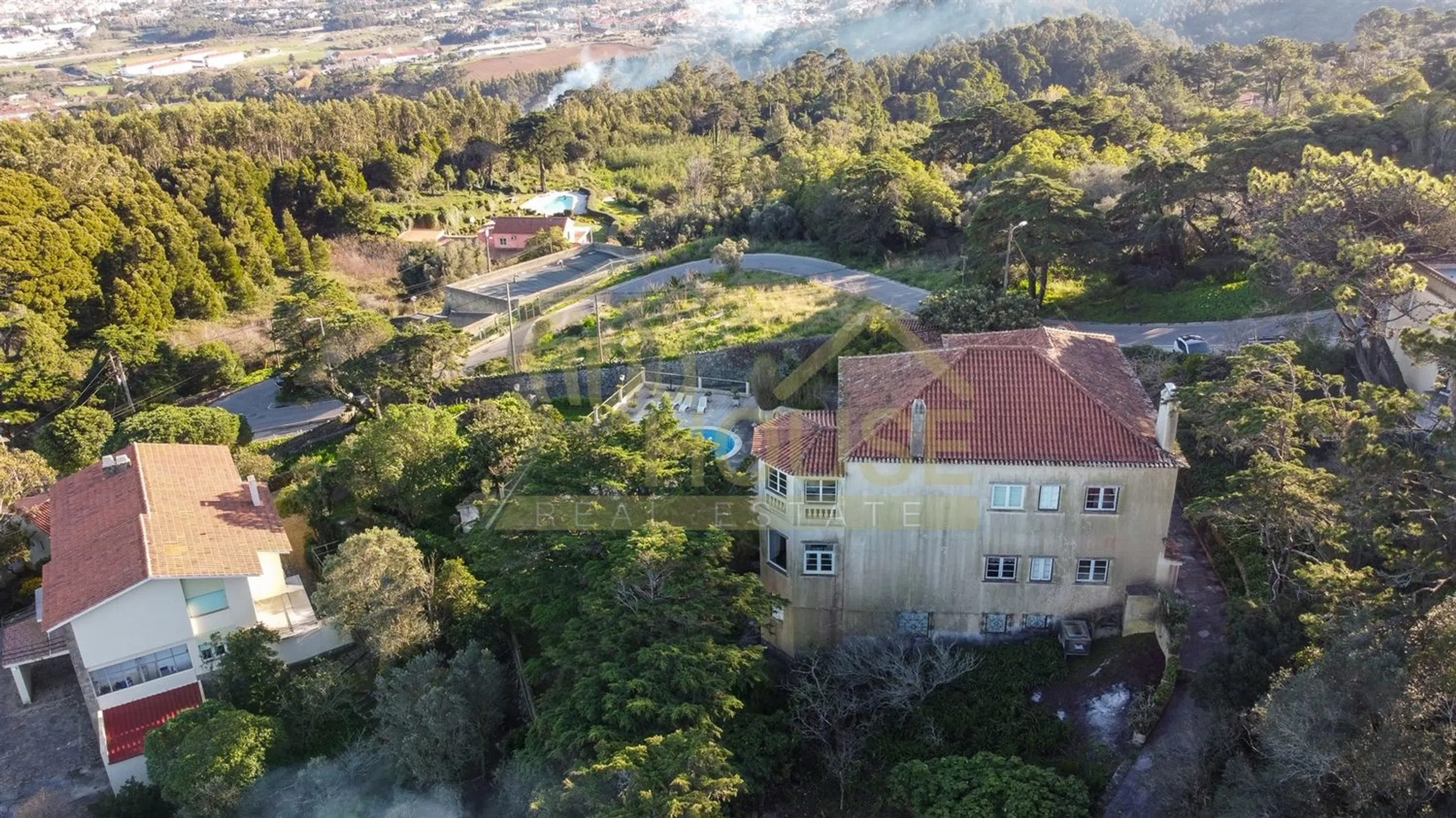 Quinta - Photo 4