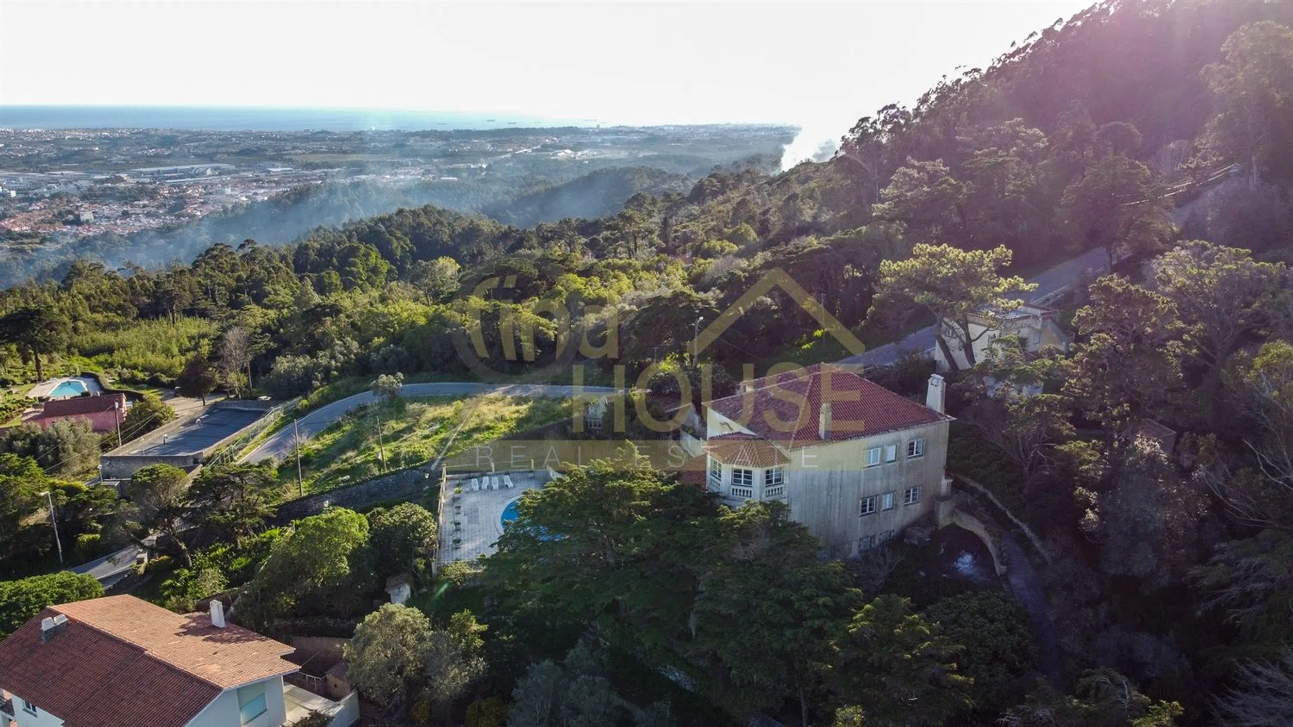 Quinta - Photo 5