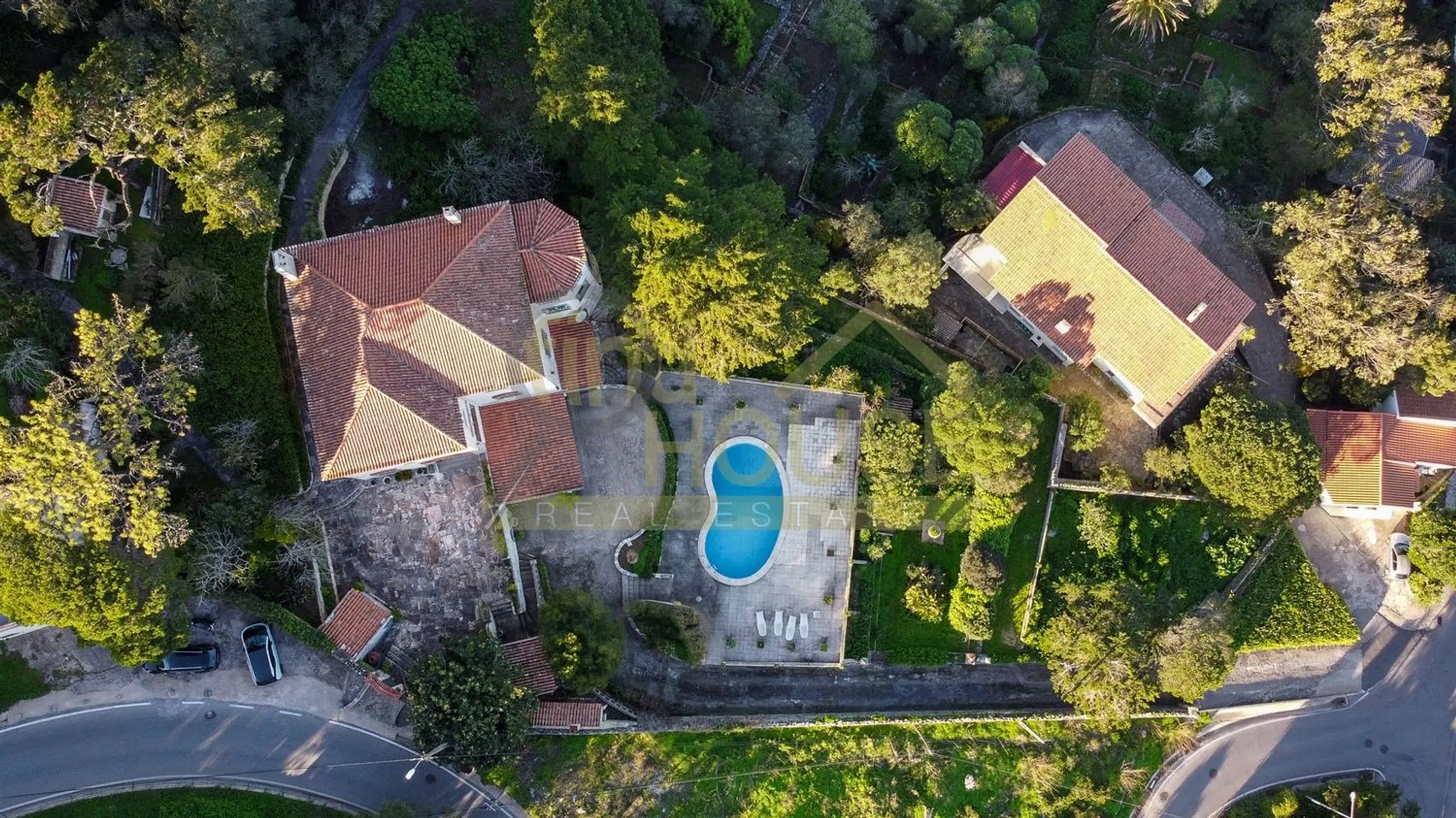 Quinta - Photo 6