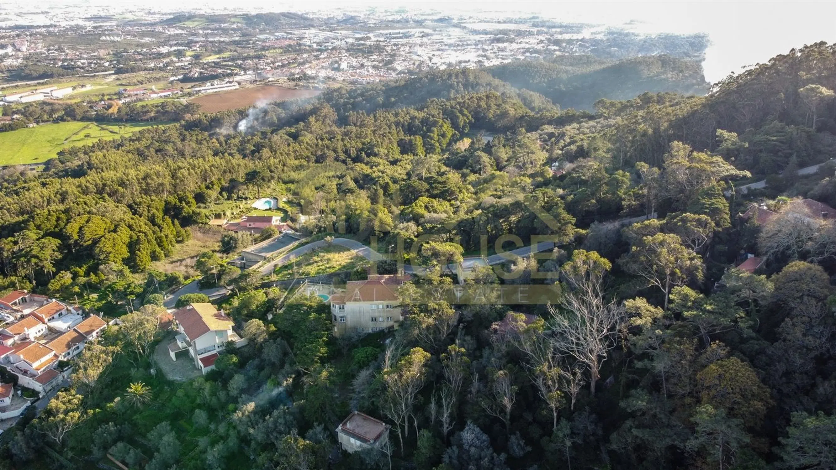Quinta - Photo 7