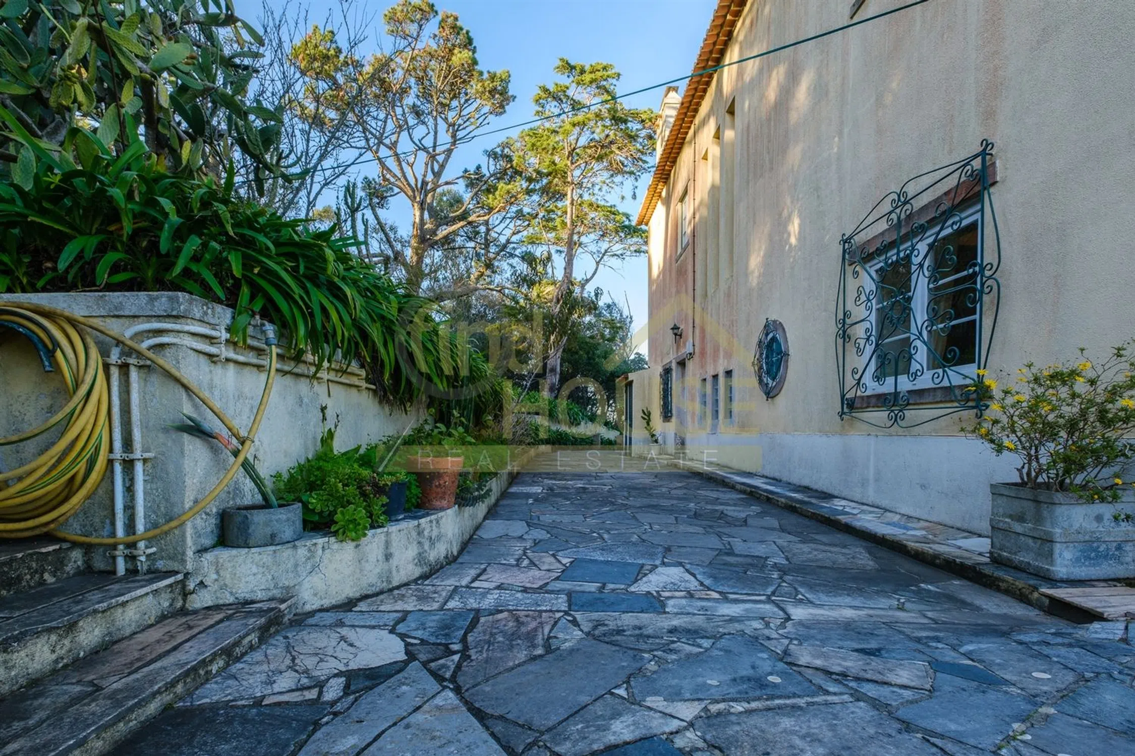 Quinta - Photo 10