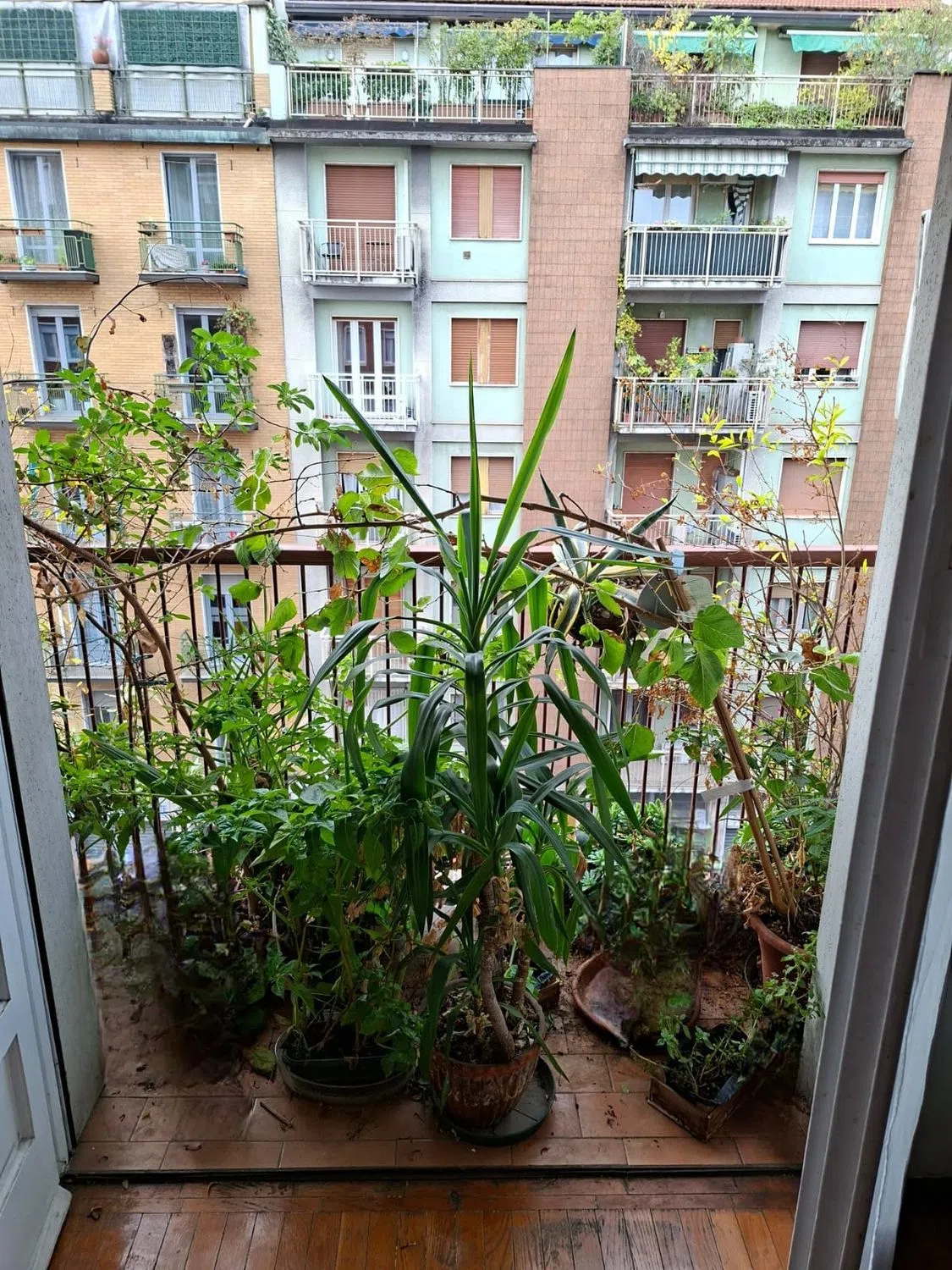 Bilocale in via Ajaccio s.n.c. - Photo 2