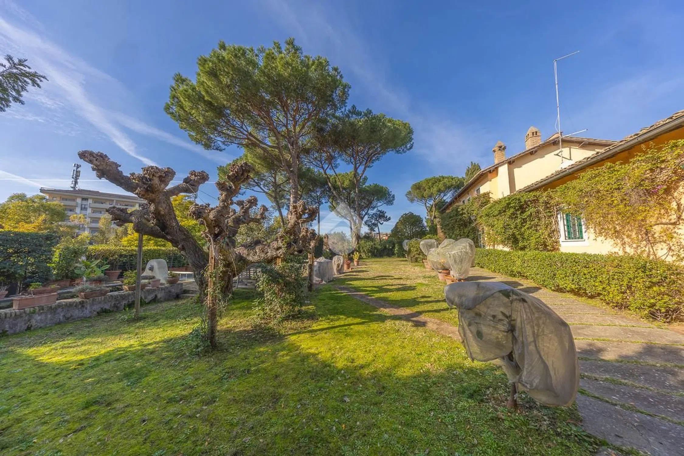 Villa in via Aurelia Antica s.n.c. - Photo 7