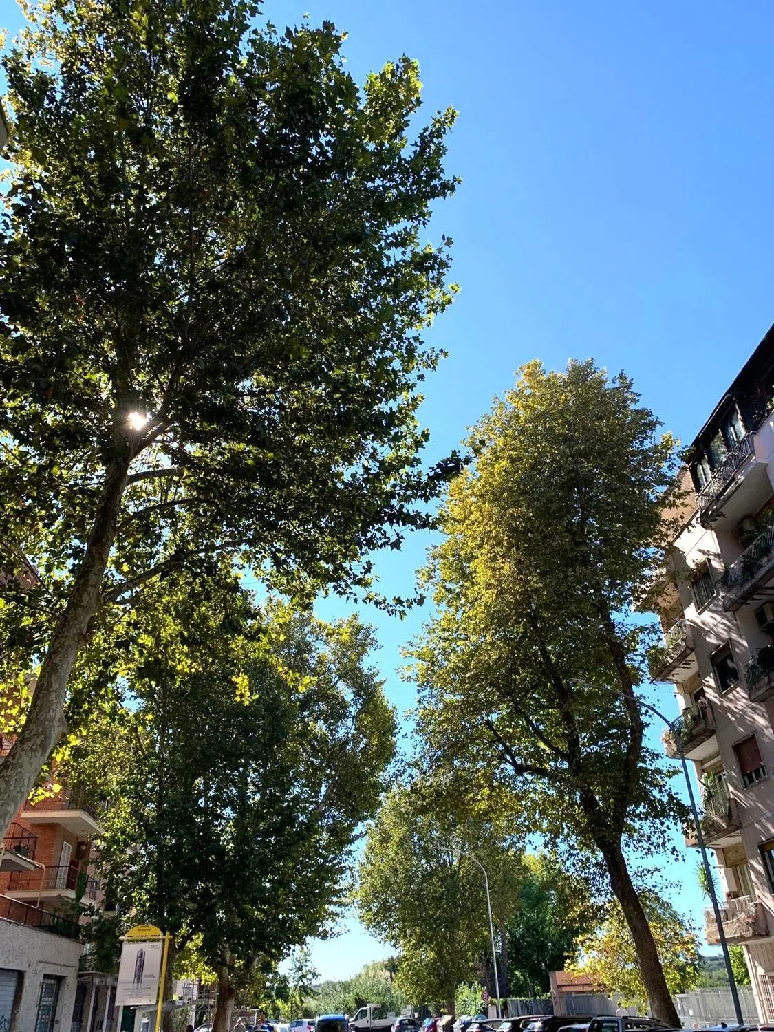 Trilocale in via Macedonia - Photo 1