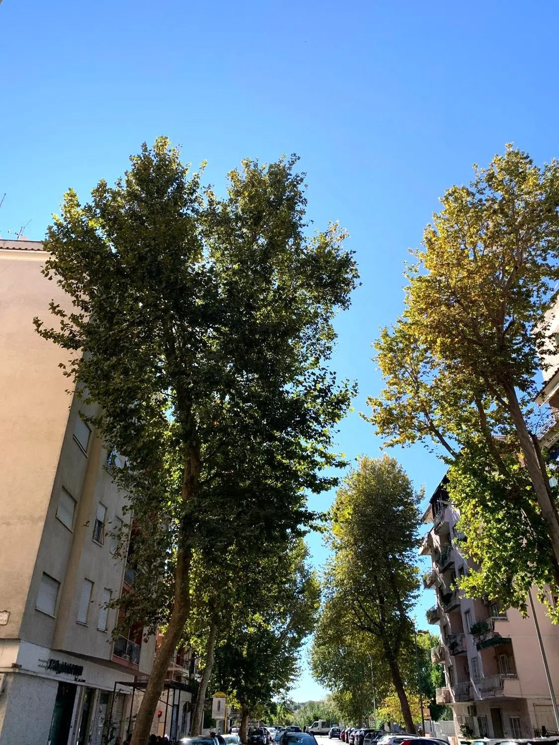 Trilocale in via Macedonia - Photo 2