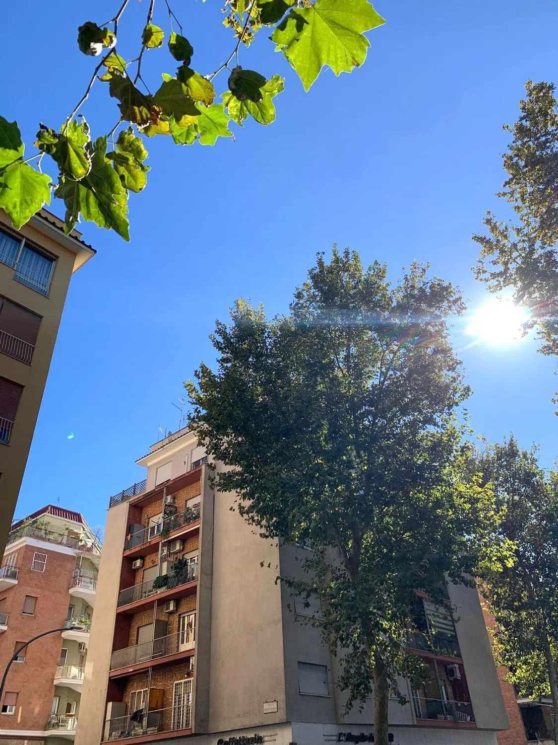 Trilocale in via Macedonia - Photo 4