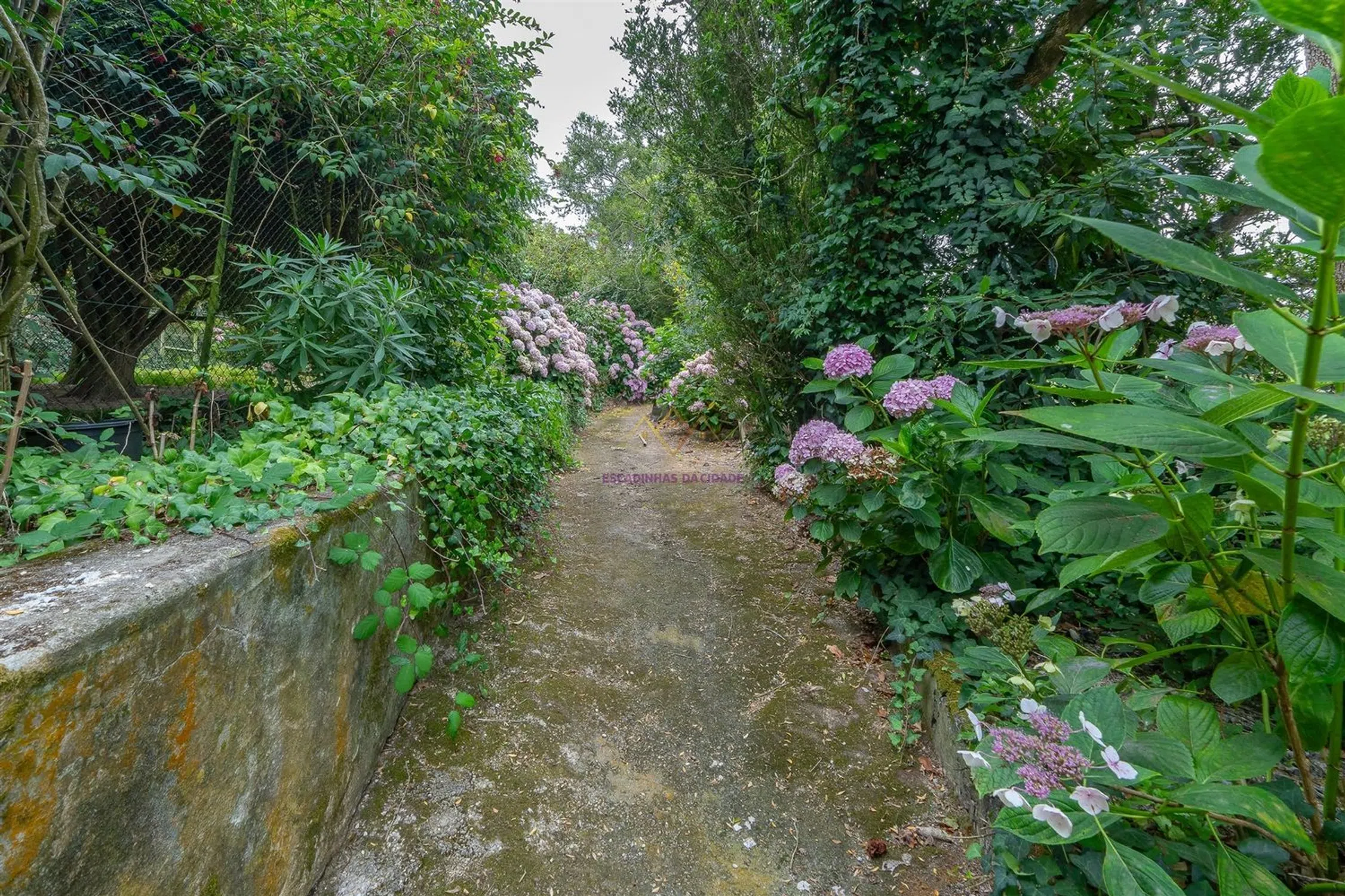 Quinta em Pé da Serra - Photo 5