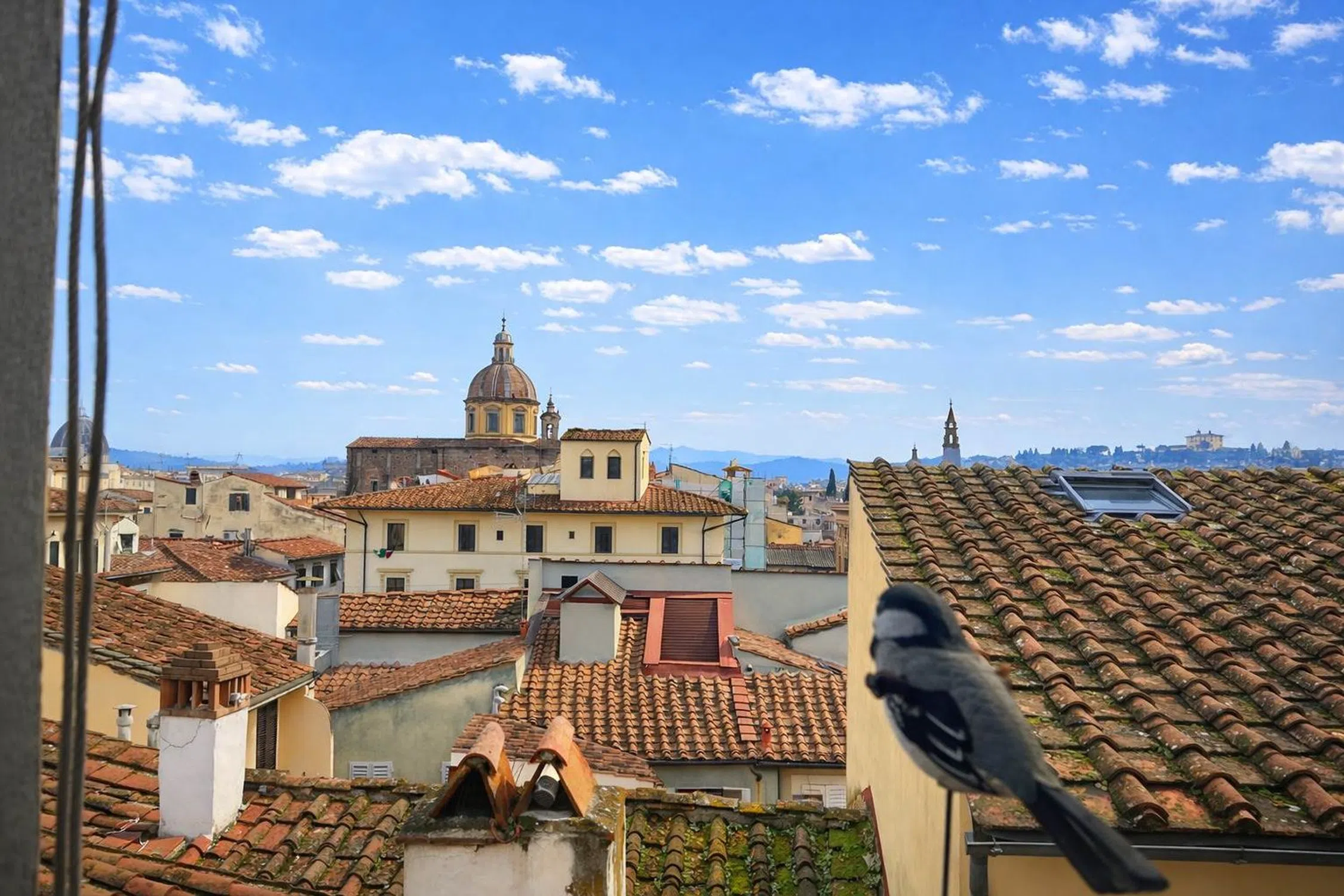 Quadrilocale in Quartiere Oltrarno - San Frediano - Santo Spirito - Photo 20