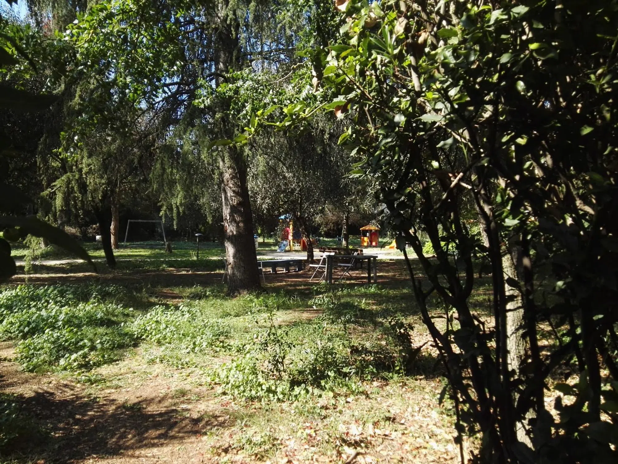 Trilocale in viale Marx - Photo 7