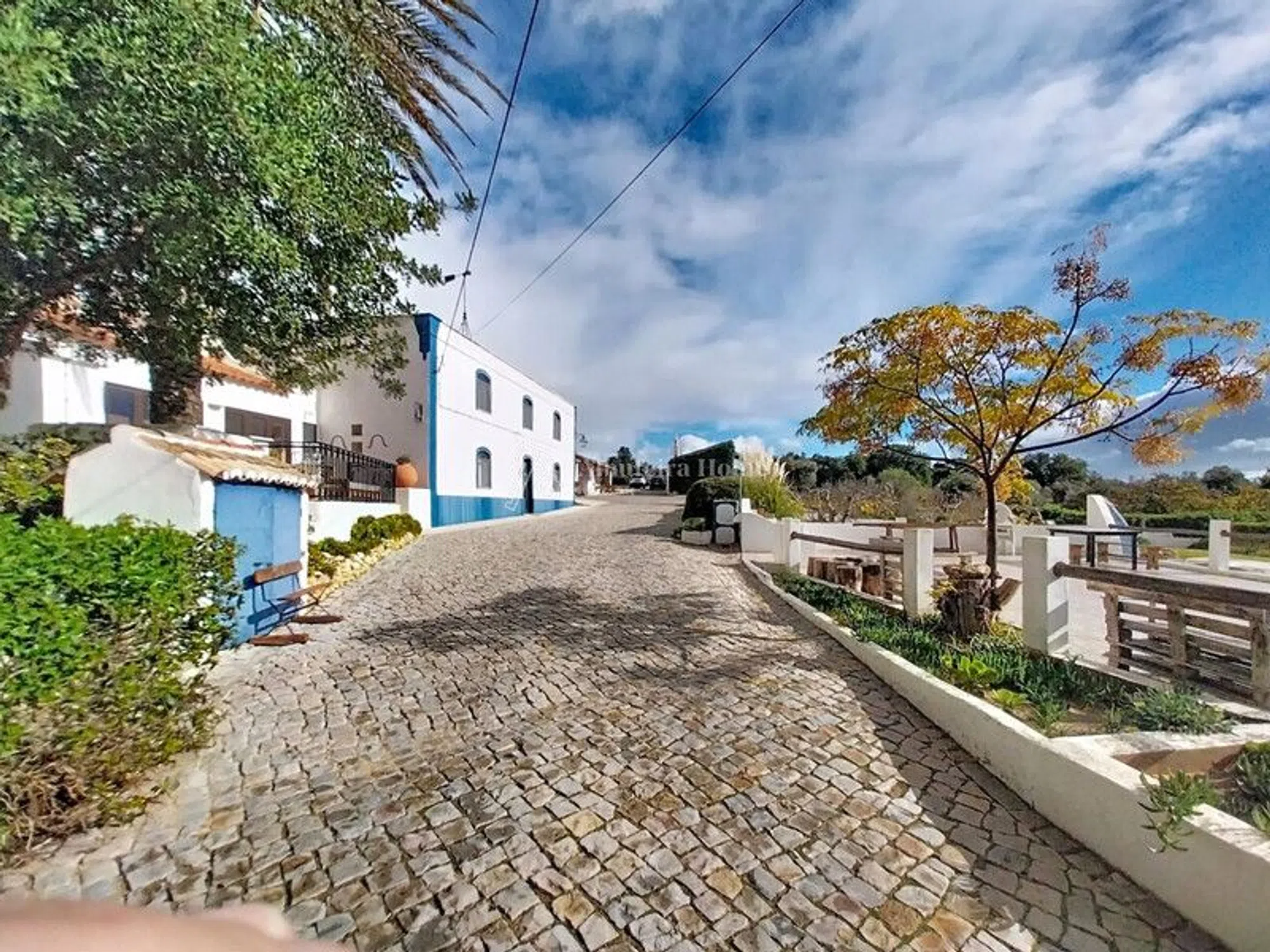 Quinta - Photo 1