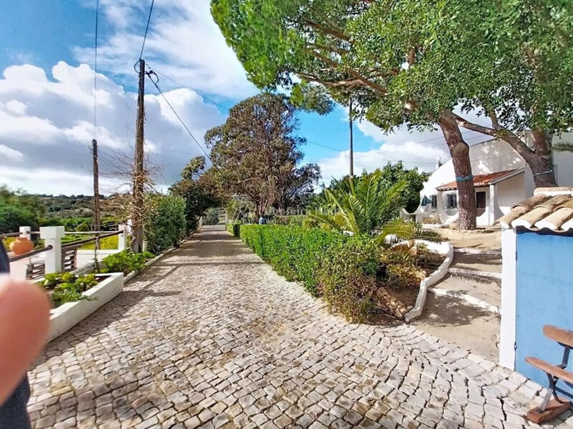 Quinta - Photo 2