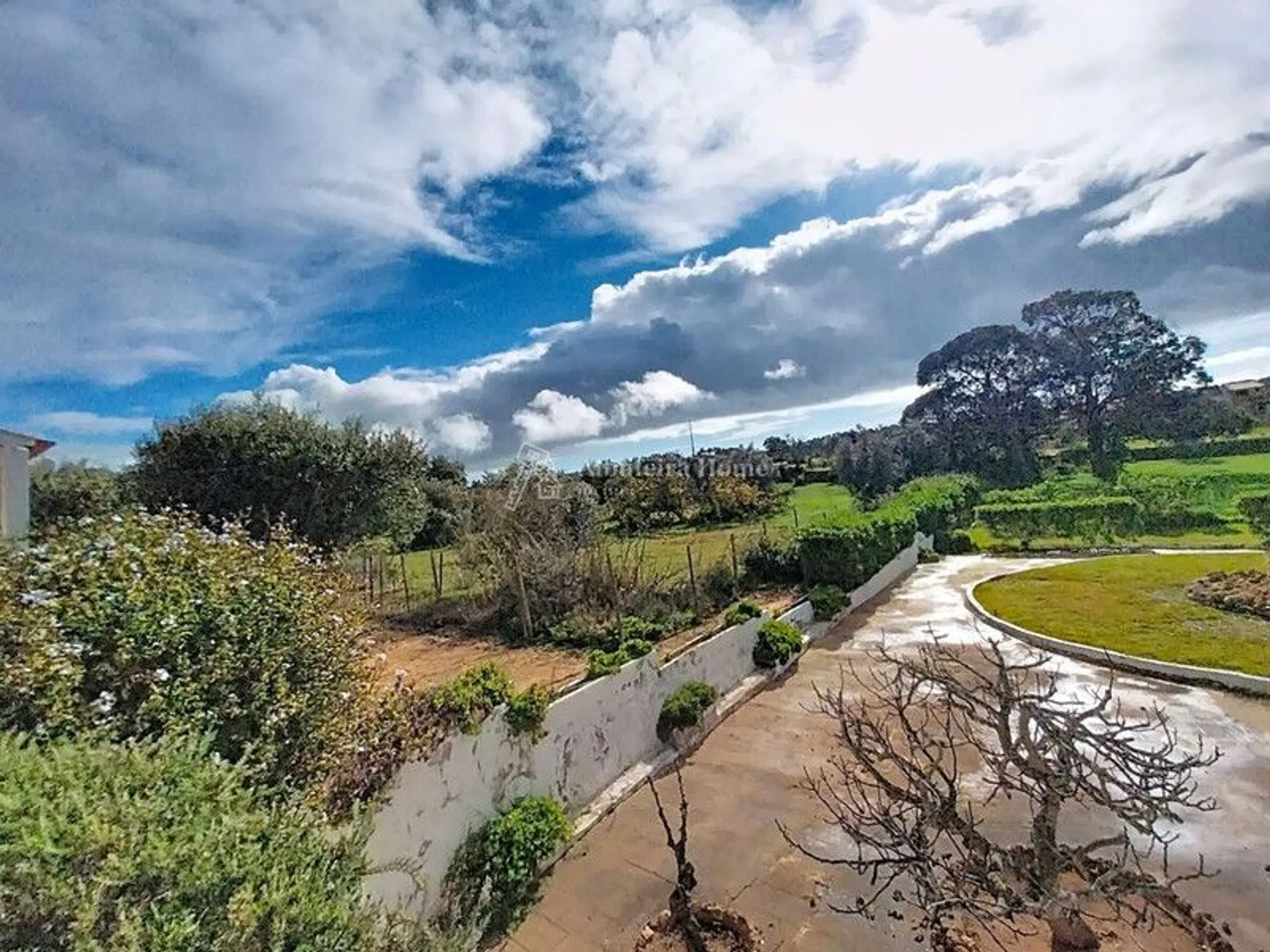Quinta - Photo 11