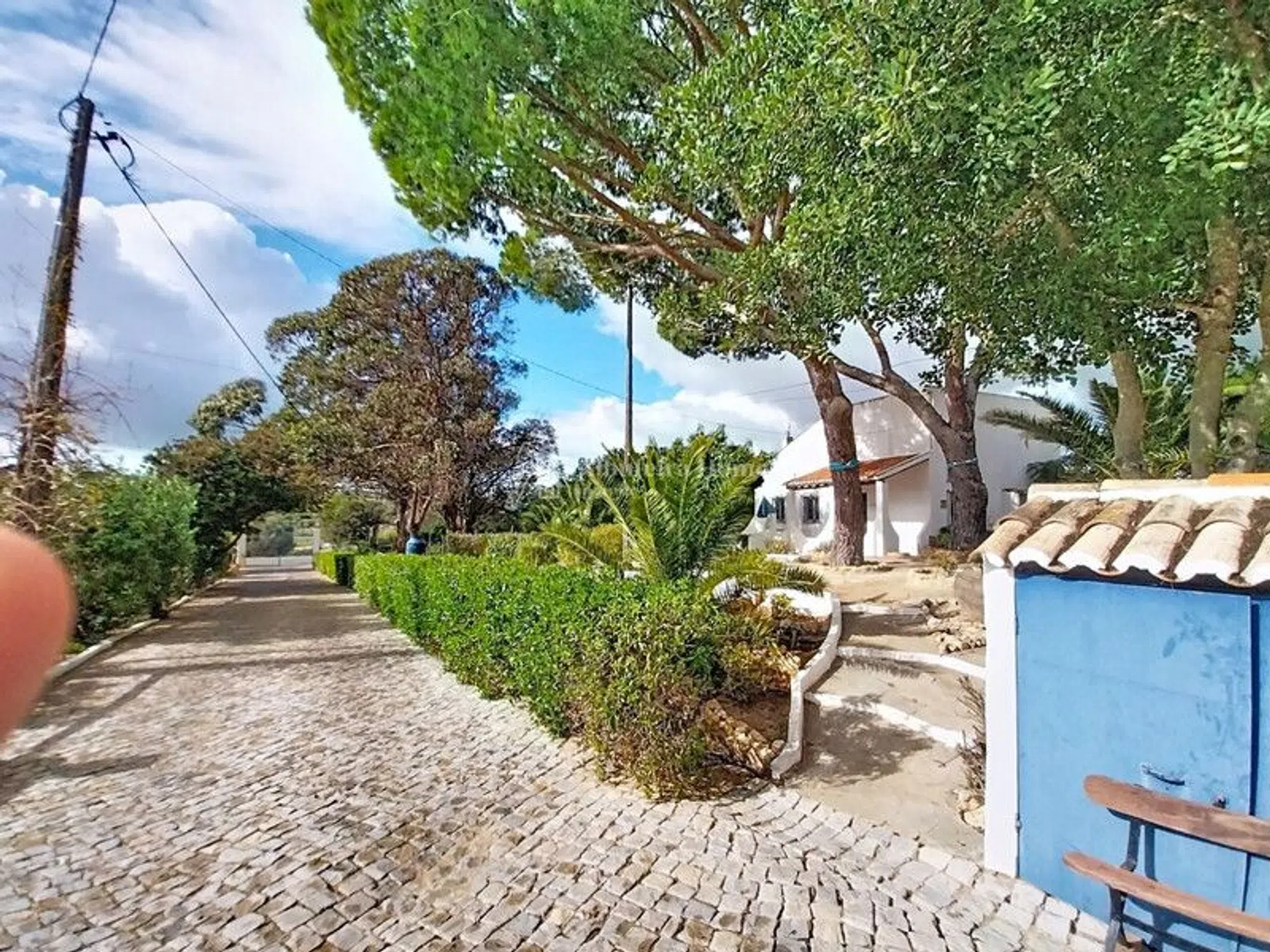 Quinta - Photo 4