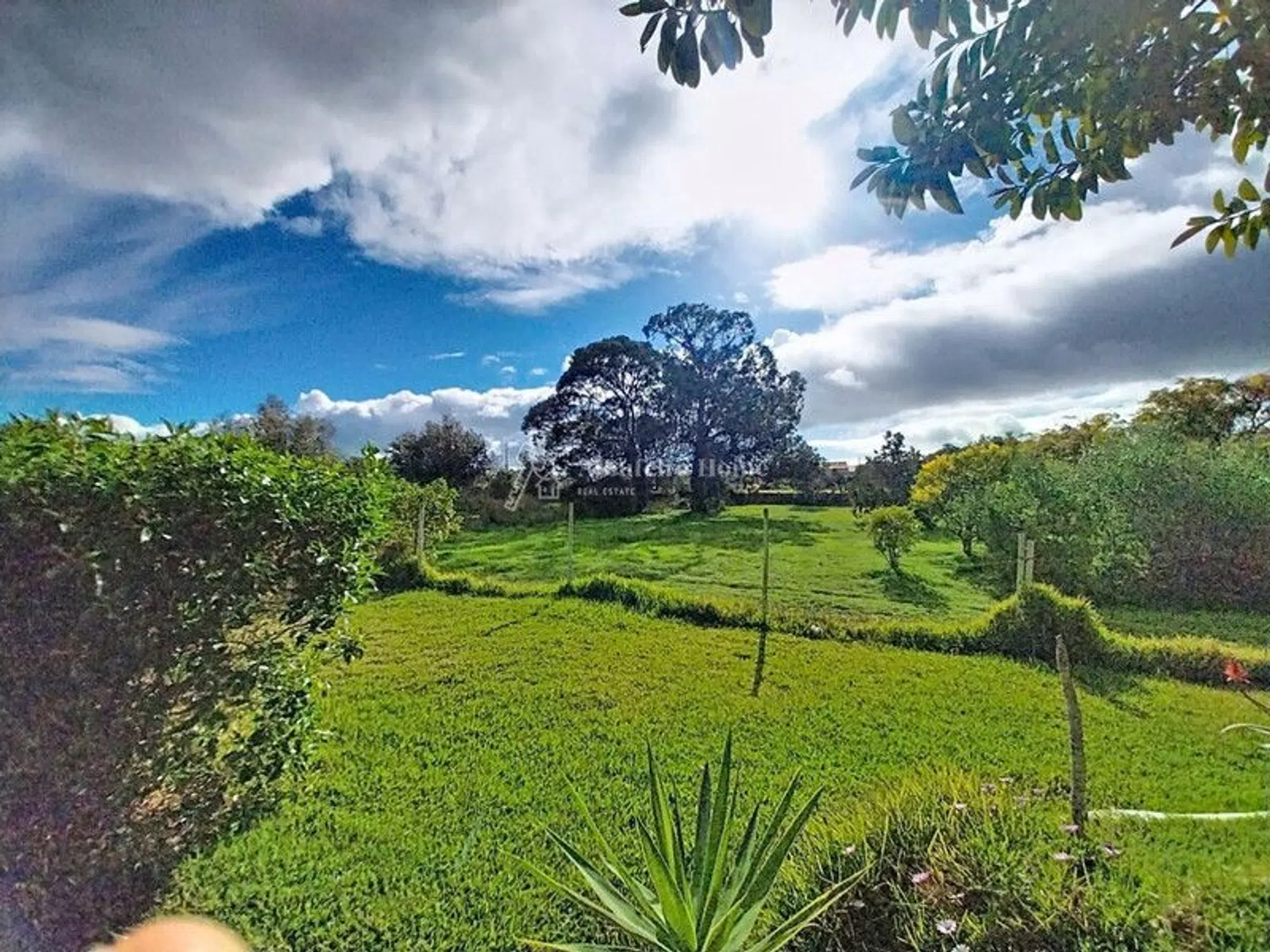 Quinta - Photo 8